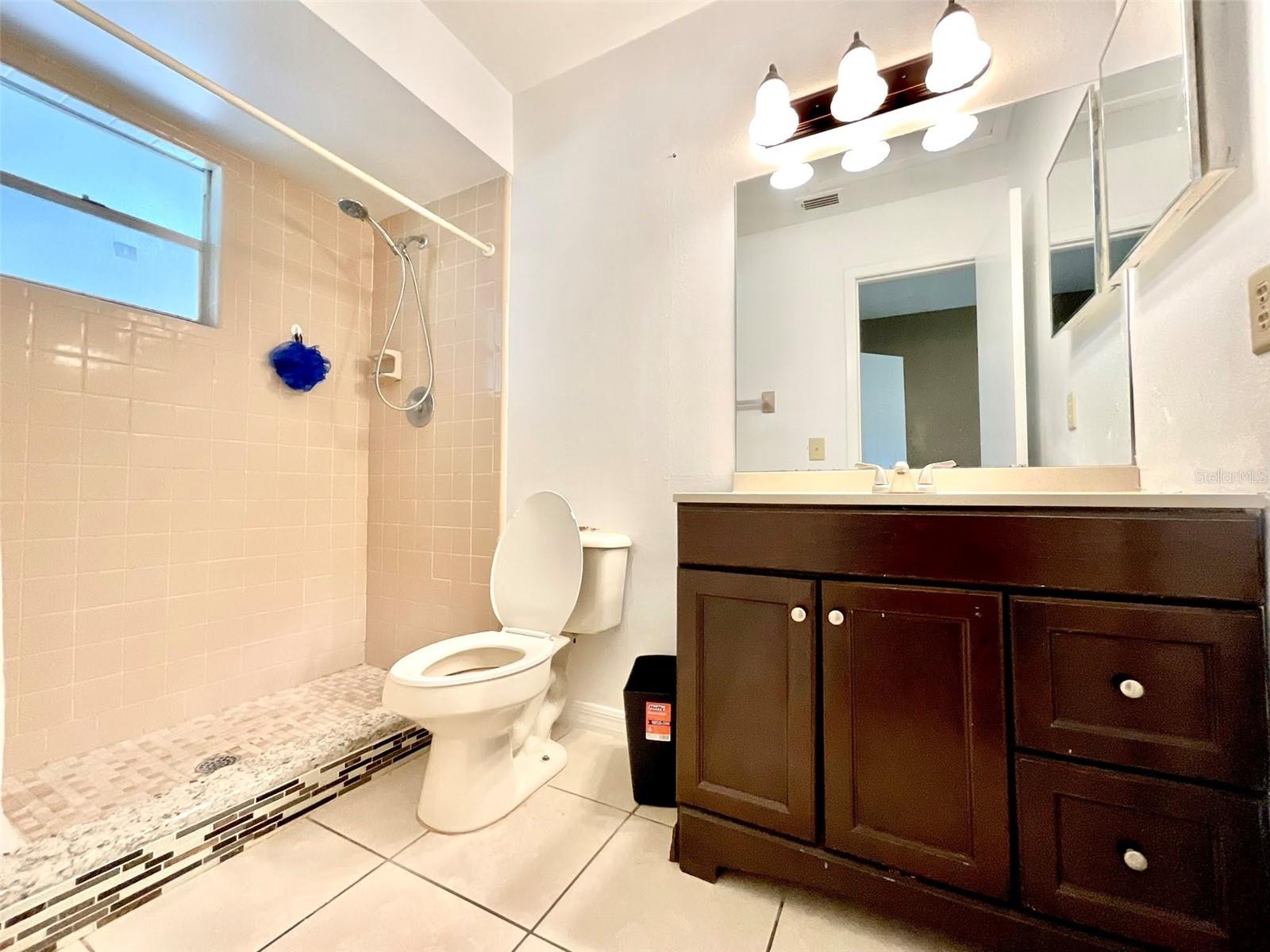 602 N DELMONTE CT, KISSIMMEE, FL, 34758