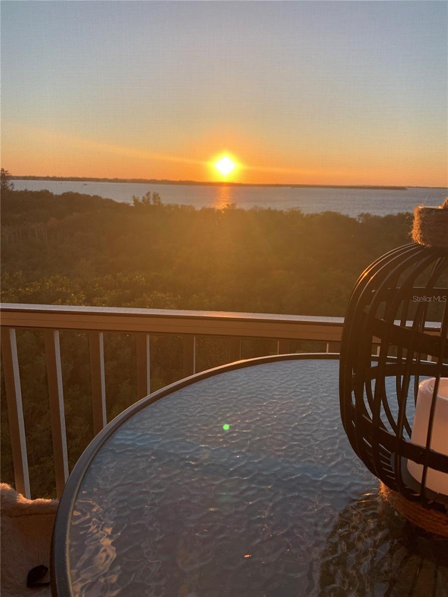 2625 TERRA CEIA BAY BLVD #503, PALMETTO, FL, 34221