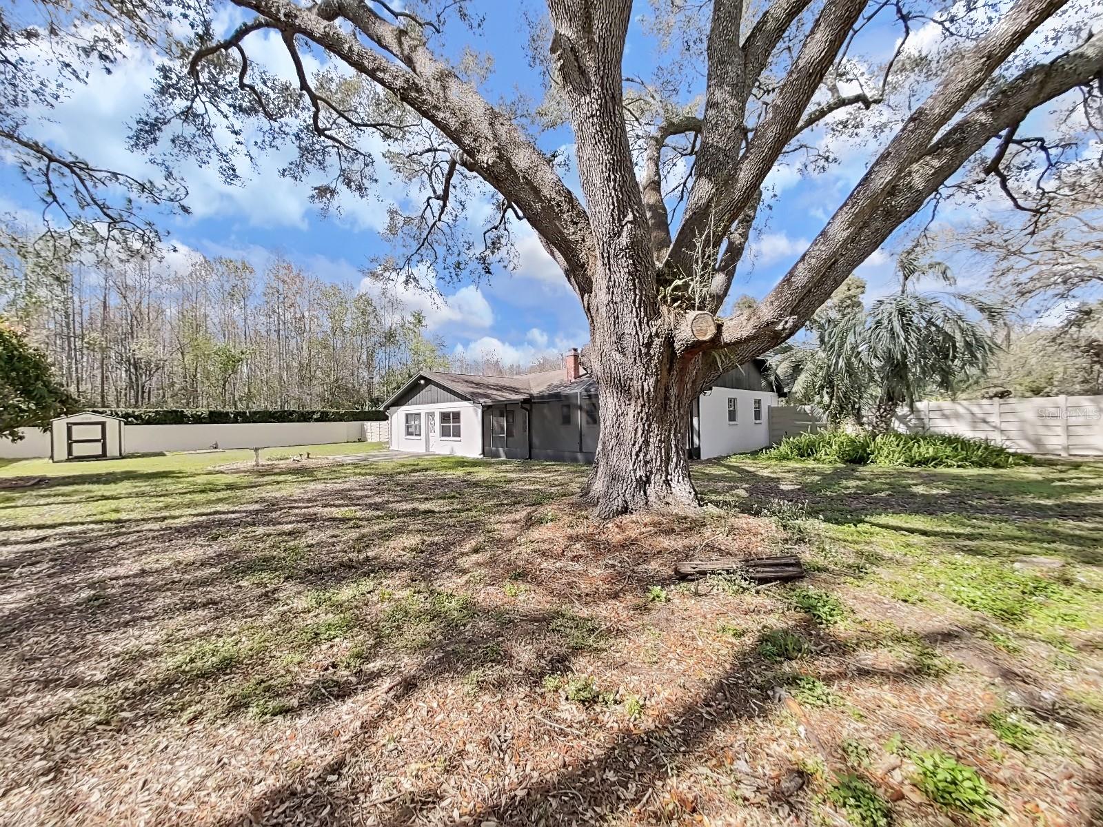 3404 HOEDT RD, TAMPA, FL, 33618