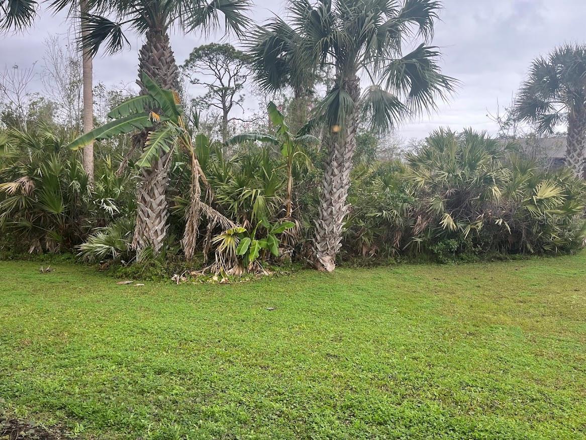 56 FOREST RD, FLAGLER BEACH, FL, 32136