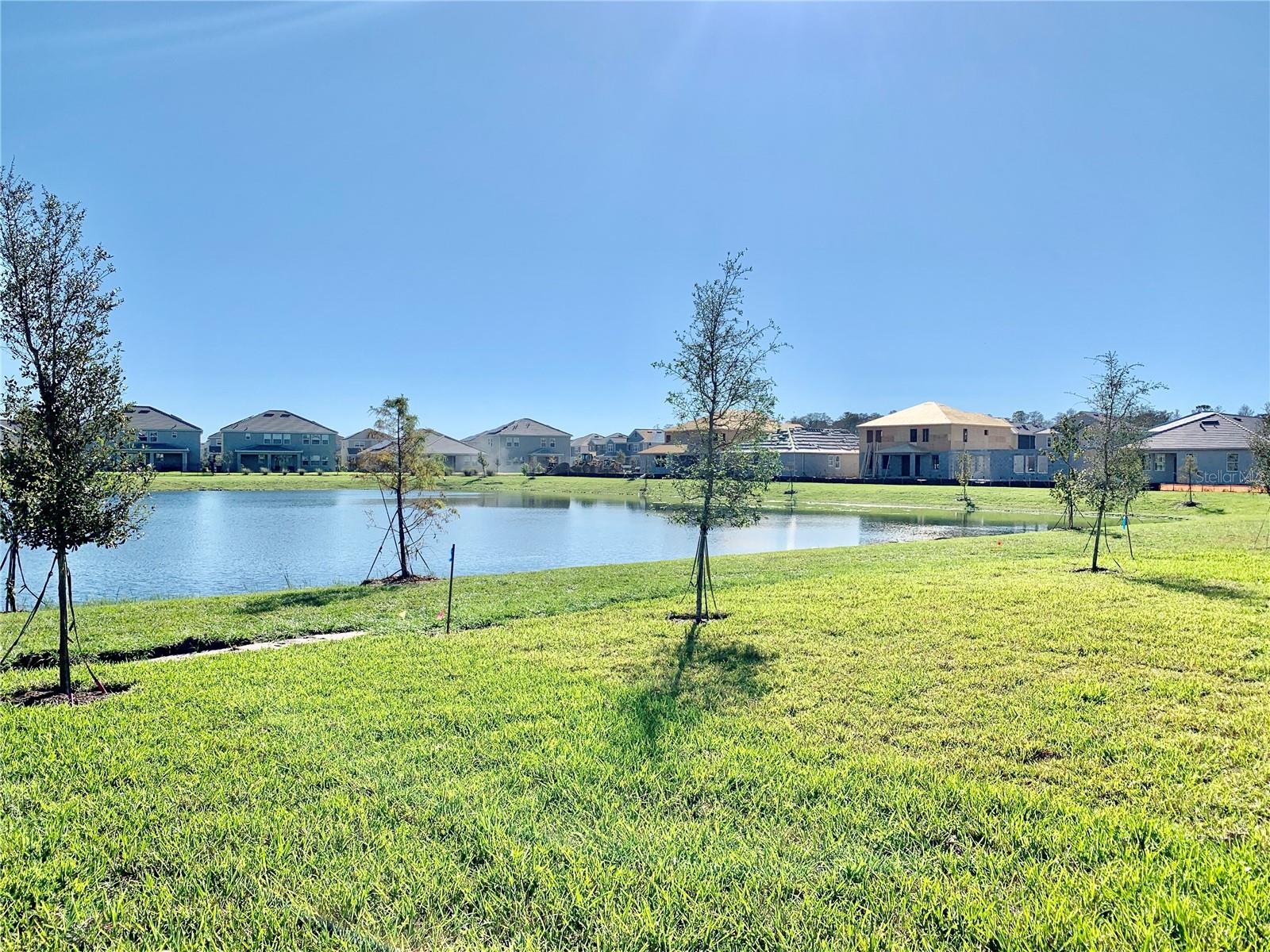 11423 SATIRE ST, ORLANDO, FL, 32832