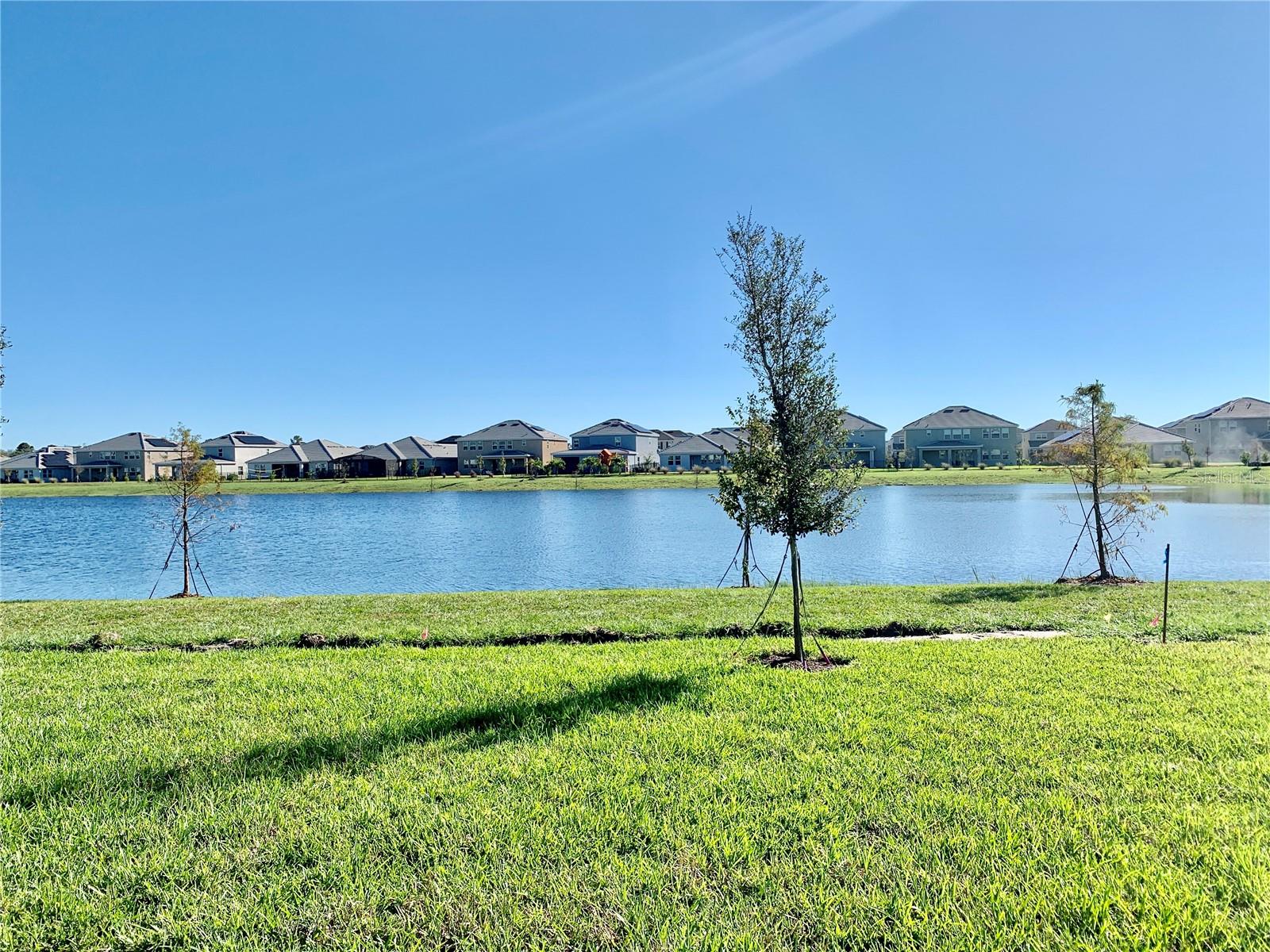 11423 SATIRE ST, ORLANDO, FL, 32832