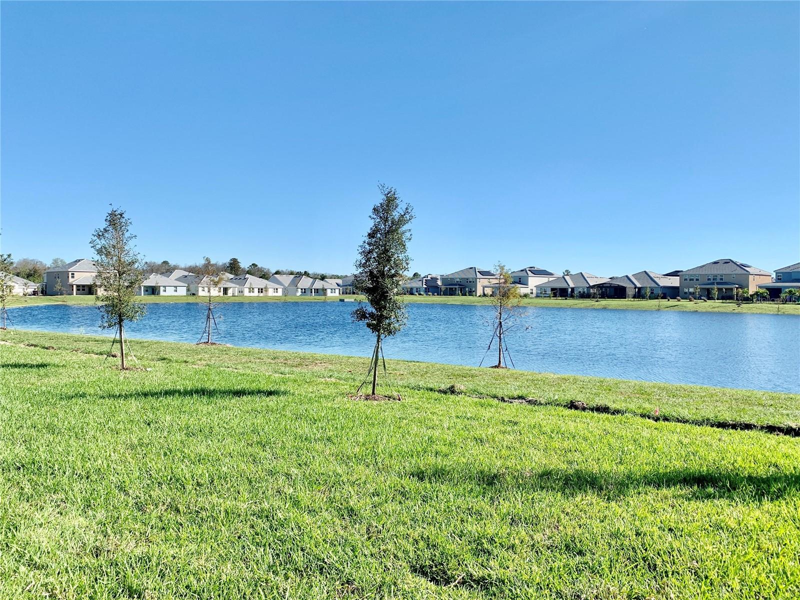11423 SATIRE ST, ORLANDO, FL, 32832