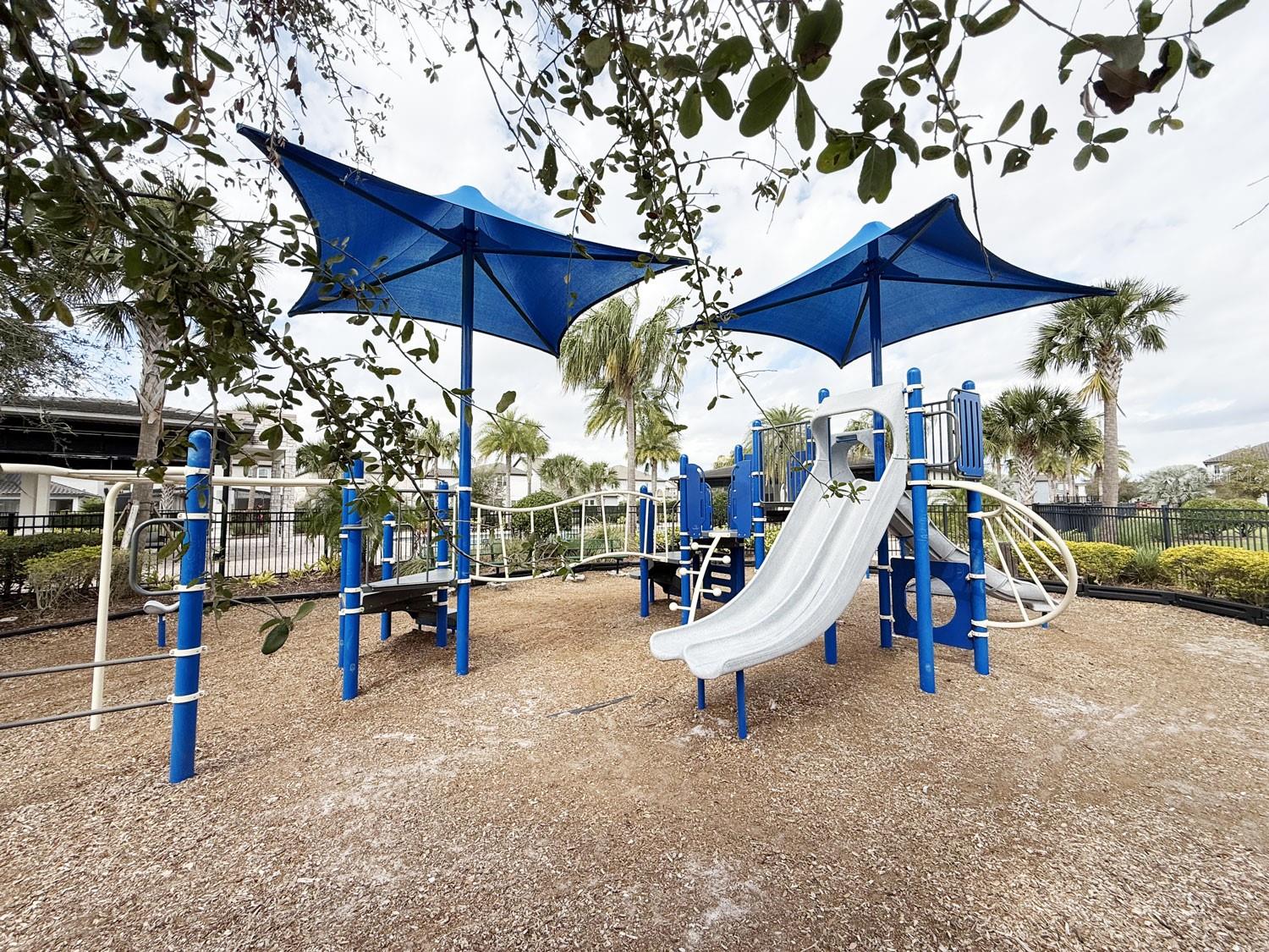 12615 SALOMON CV, WINDERMERE, FL, 34786