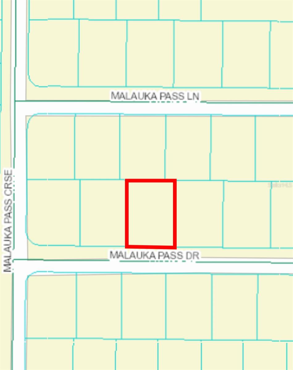 00 MALAUKA PASS DR #Lot 5, OCKLAWAHA, FL, 32179