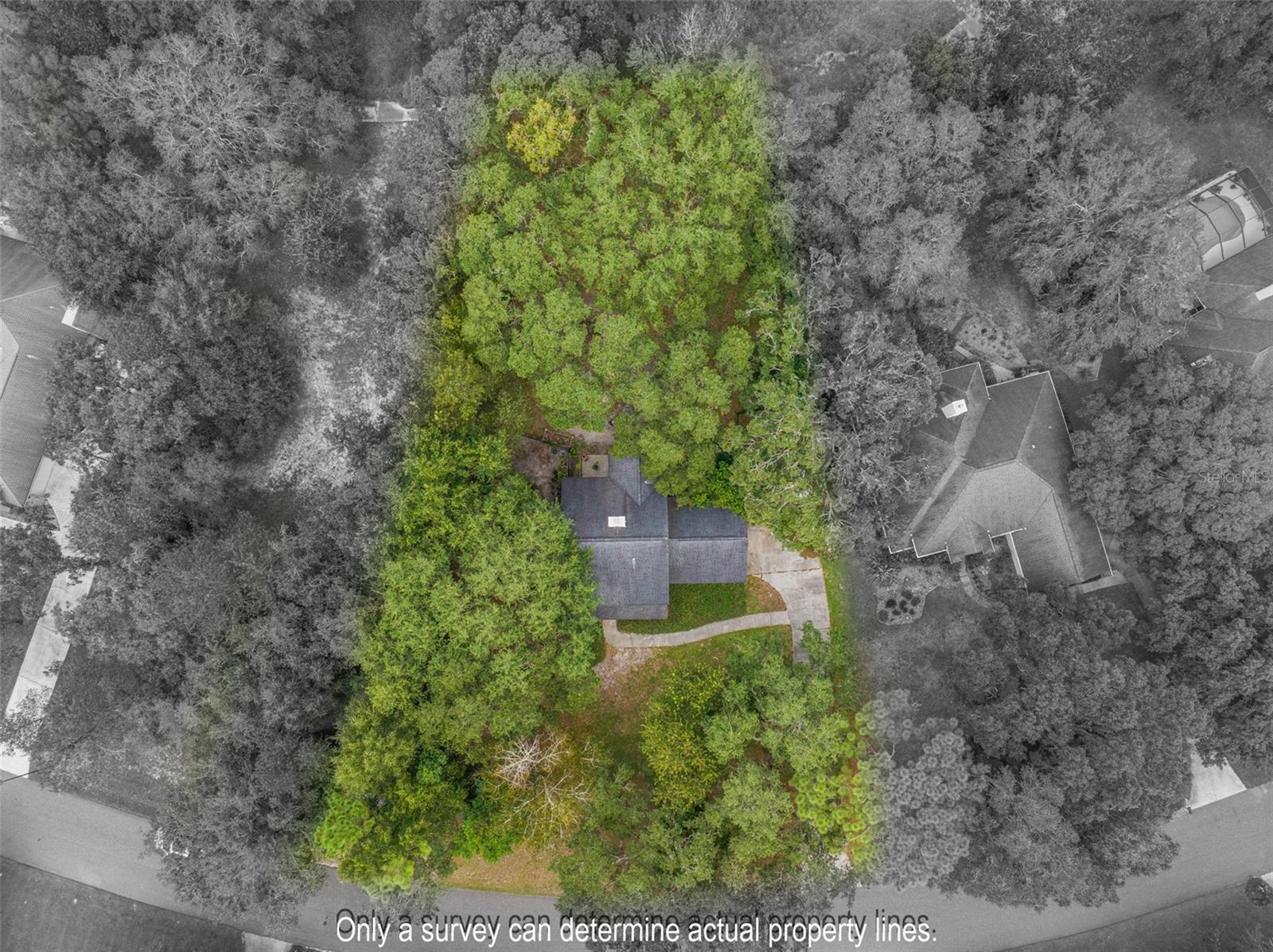 3770 CREEK HOLLOW LN, MIDDLEBURG, FL, 32068