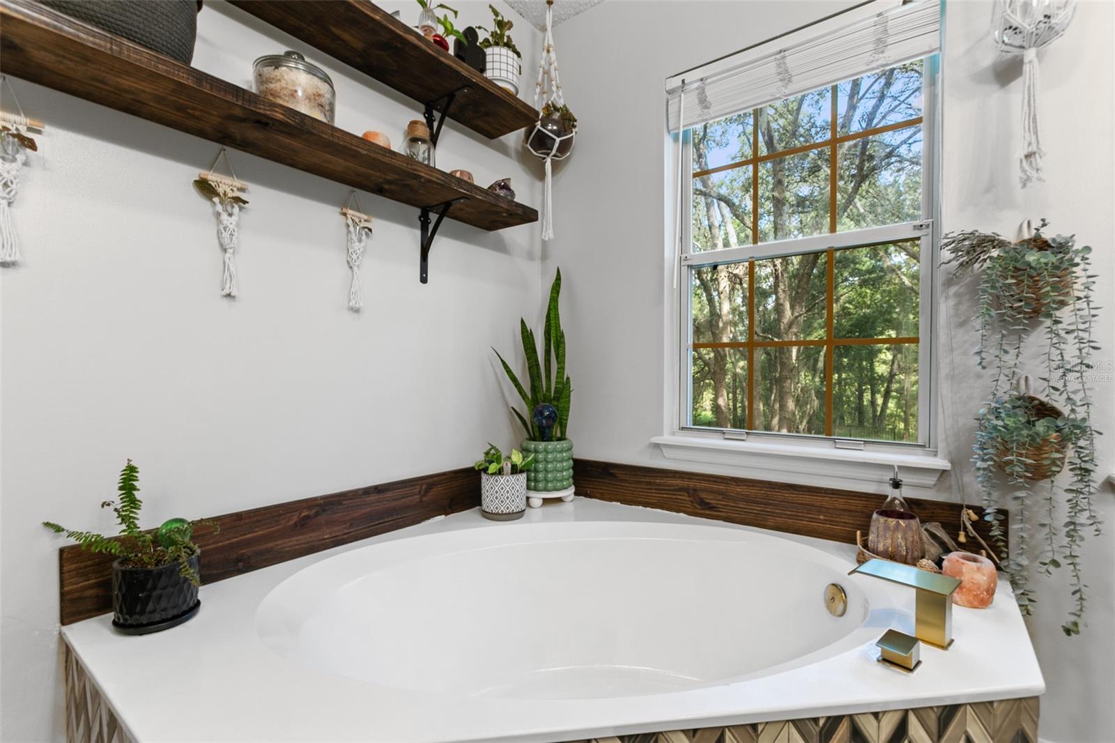 3770 CREEK HOLLOW LN, MIDDLEBURG, FL, 32068