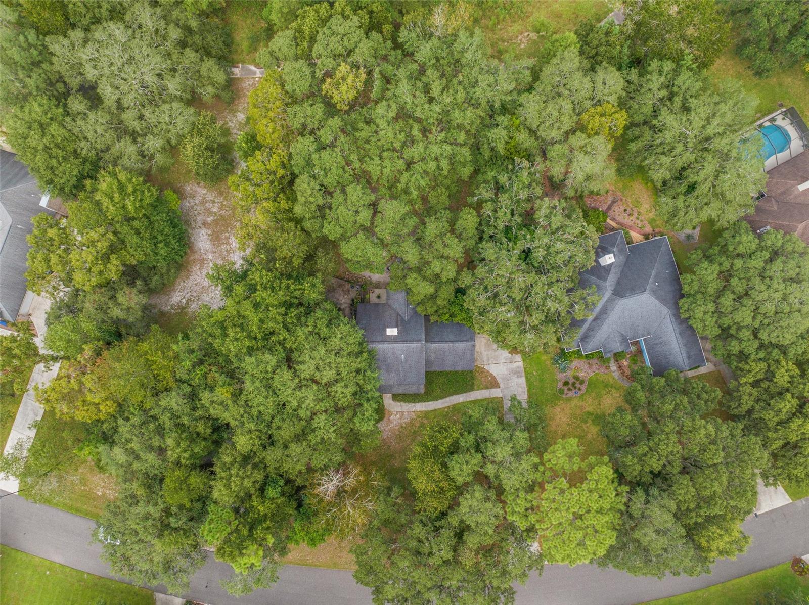 3770 CREEK HOLLOW LN, MIDDLEBURG, FL, 32068