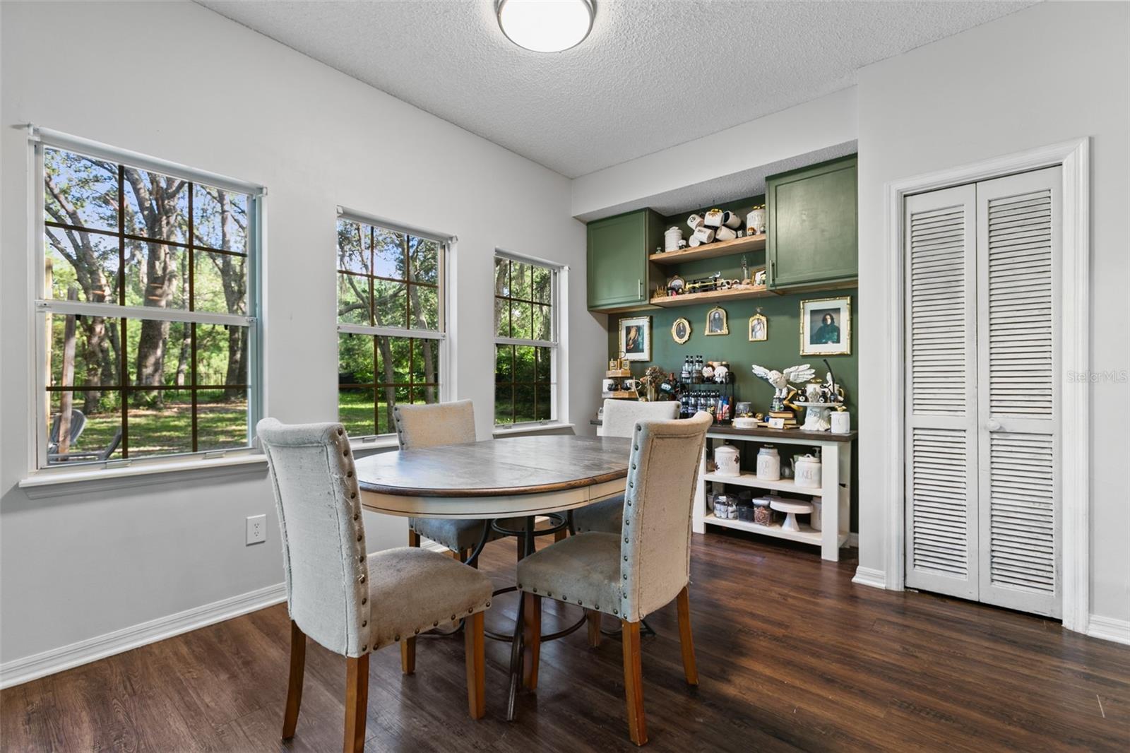 3770 CREEK HOLLOW LN, MIDDLEBURG, FL, 32068