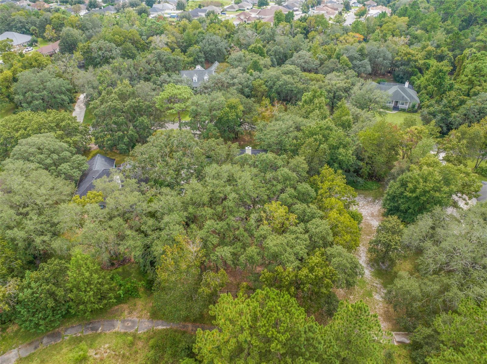3770 CREEK HOLLOW LN, MIDDLEBURG, FL, 32068