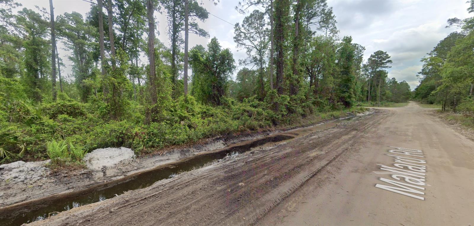 125 MALLARD RD, SATSUMA, FL, 32189