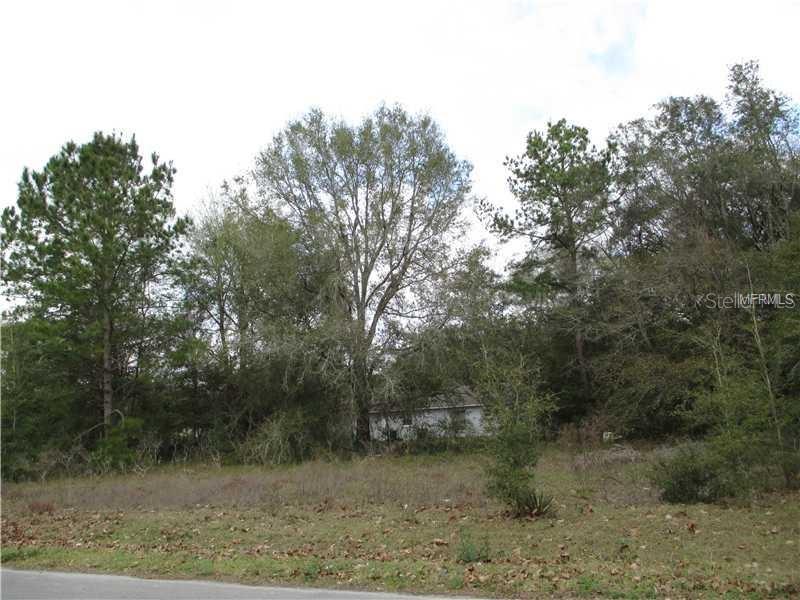 NW 3RD, OCALA, FL, 34482