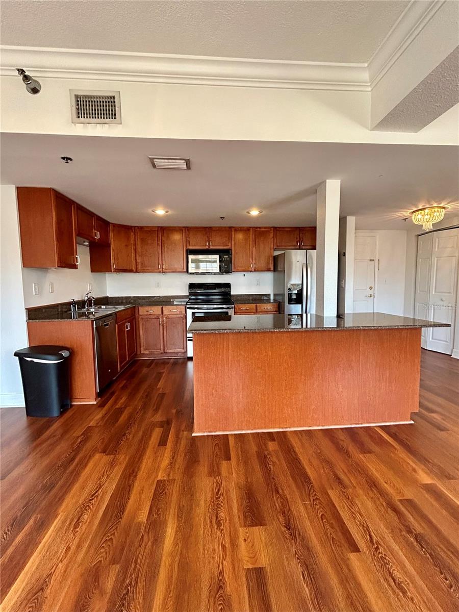 219 4TH AVE N #303, ST PETERSBURG, FL, 33701