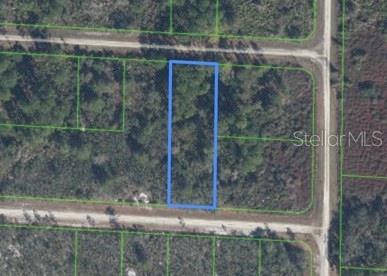 3420 WESTERN TANAGER ST #LT9, LAKE PLACID, FL, 33852