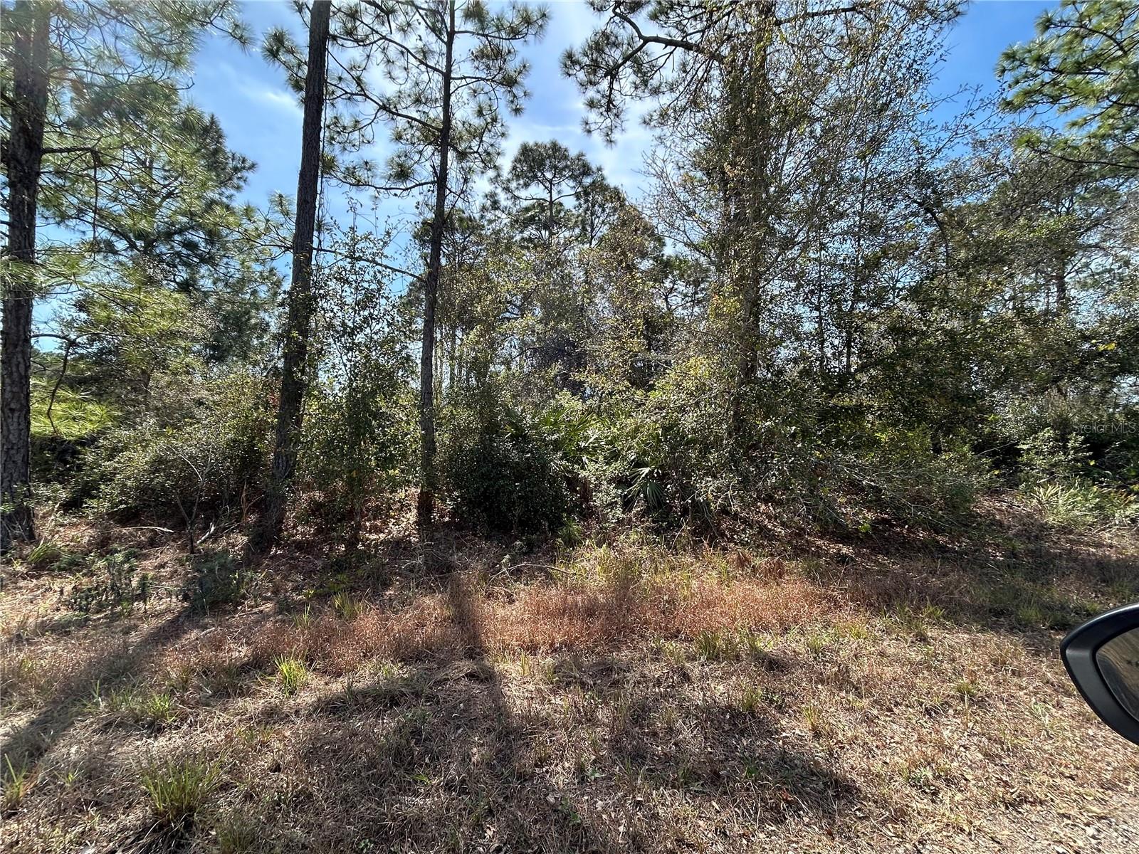 3420 WESTERN TANAGER ST #LT9, LAKE PLACID, FL, 33852
