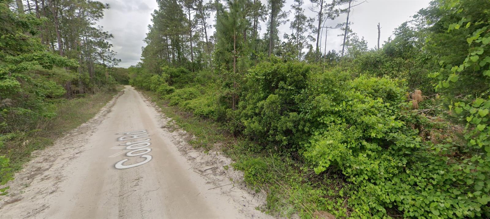 116 COOT RD, SATSUMA, FL, 32189