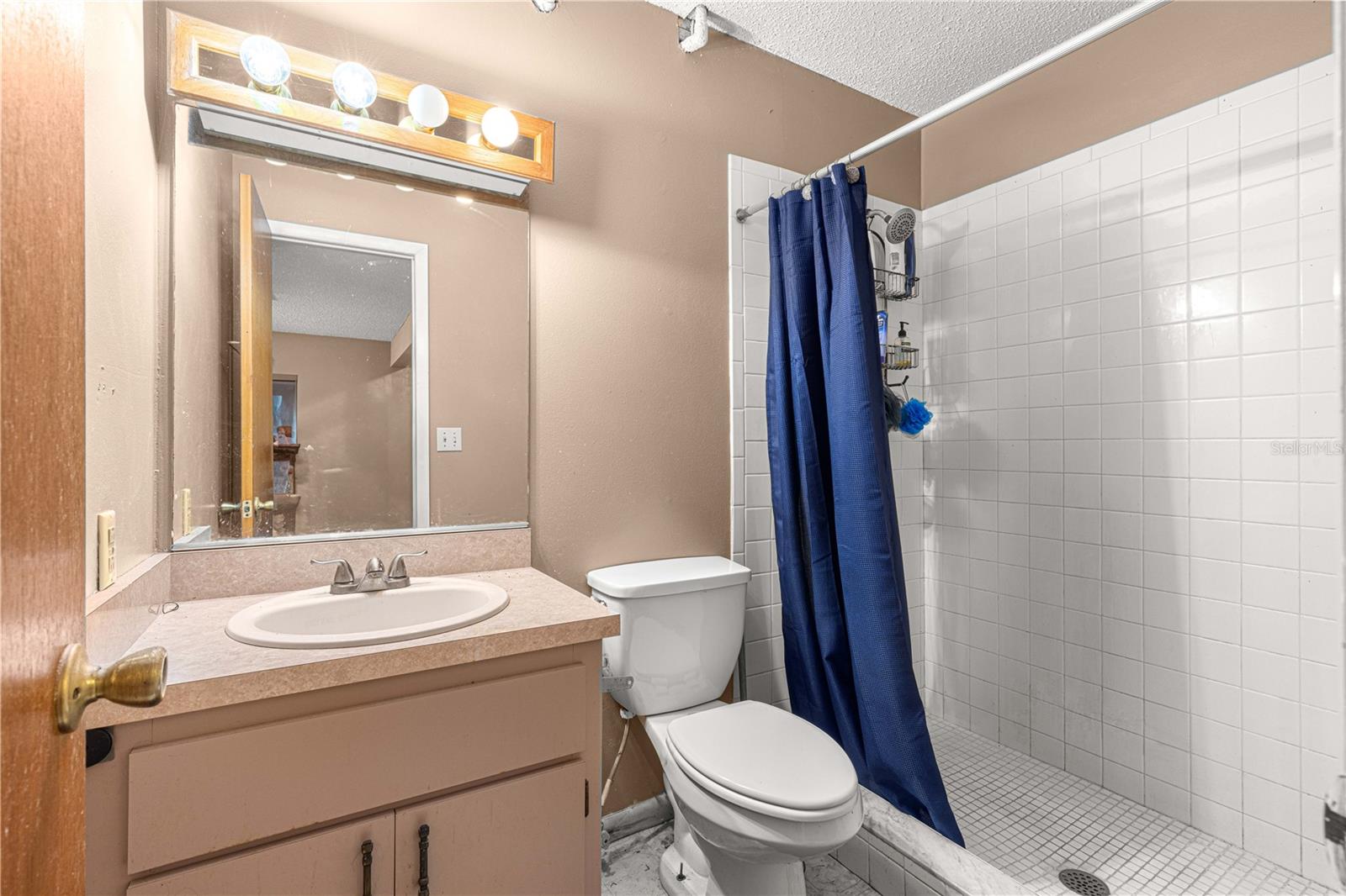 10650 SE 101ST AVENUE RD, BELLEVIEW, FL, 34420