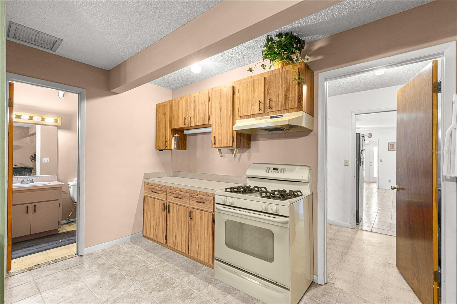 10650 SE 101ST AVENUE RD, BELLEVIEW, FL, 34420
