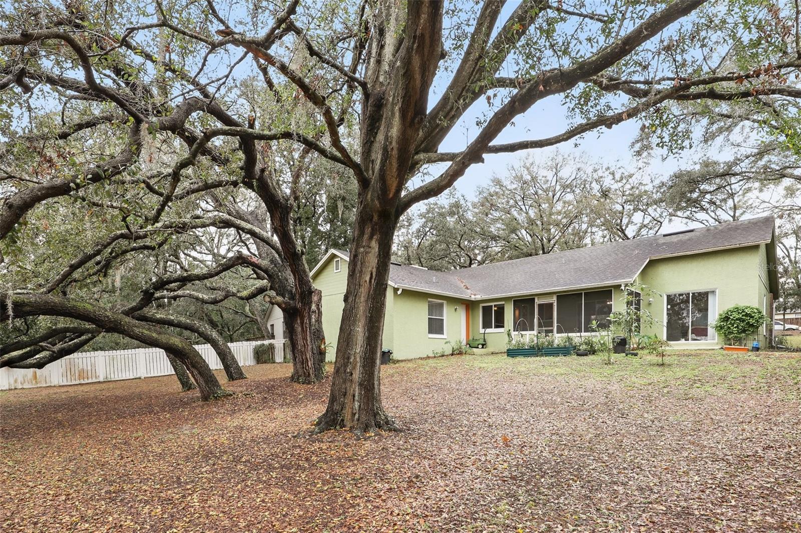 5849 GROVELINE DR, ORLANDO, FL, 32810