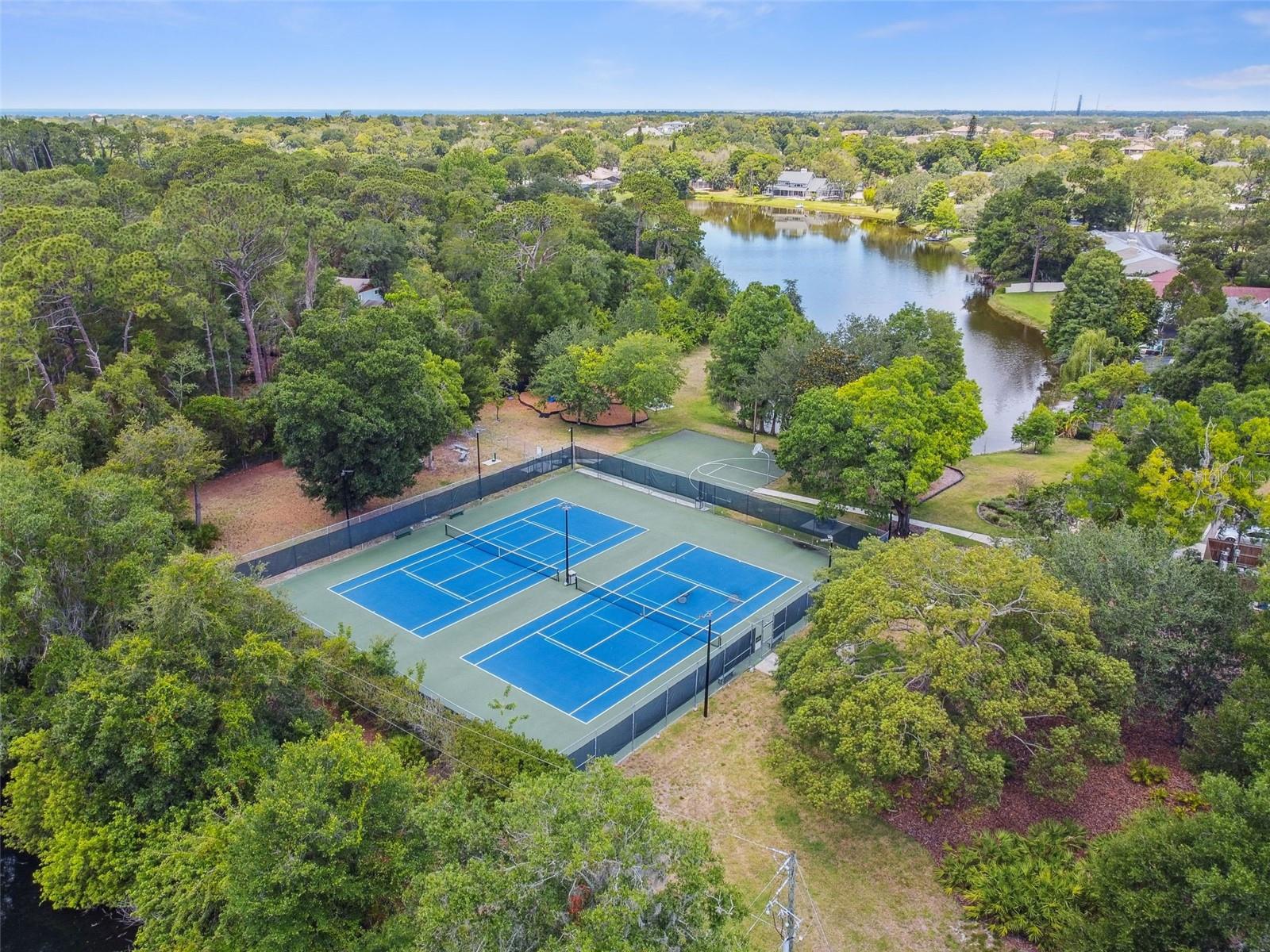 3255 MEADOW VIEW LN, PALM HARBOR, FL, 34683