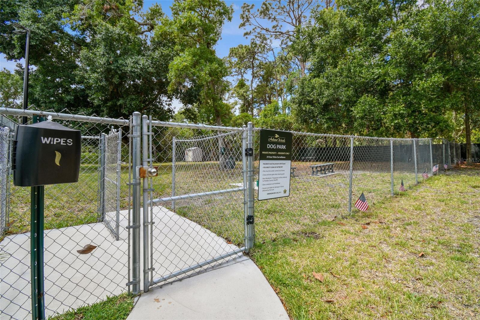 3255 MEADOW VIEW LN, PALM HARBOR, FL, 34683