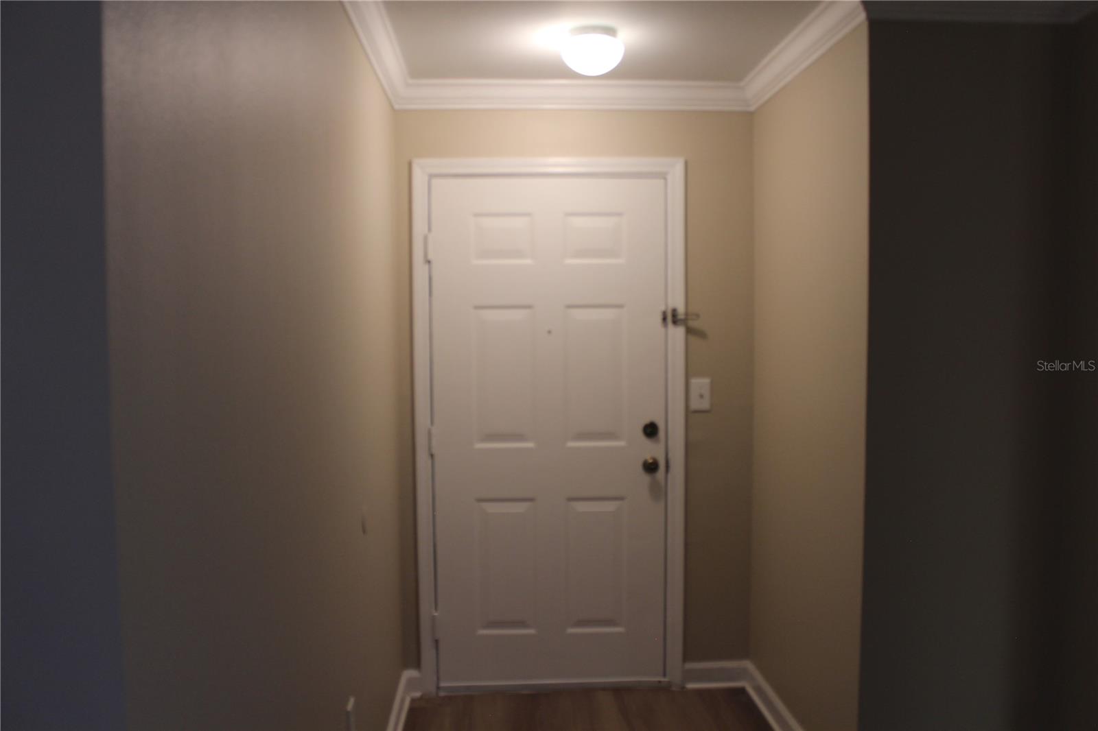18415 BRIDLE CLUB DR, TAMPA, FL, 33647