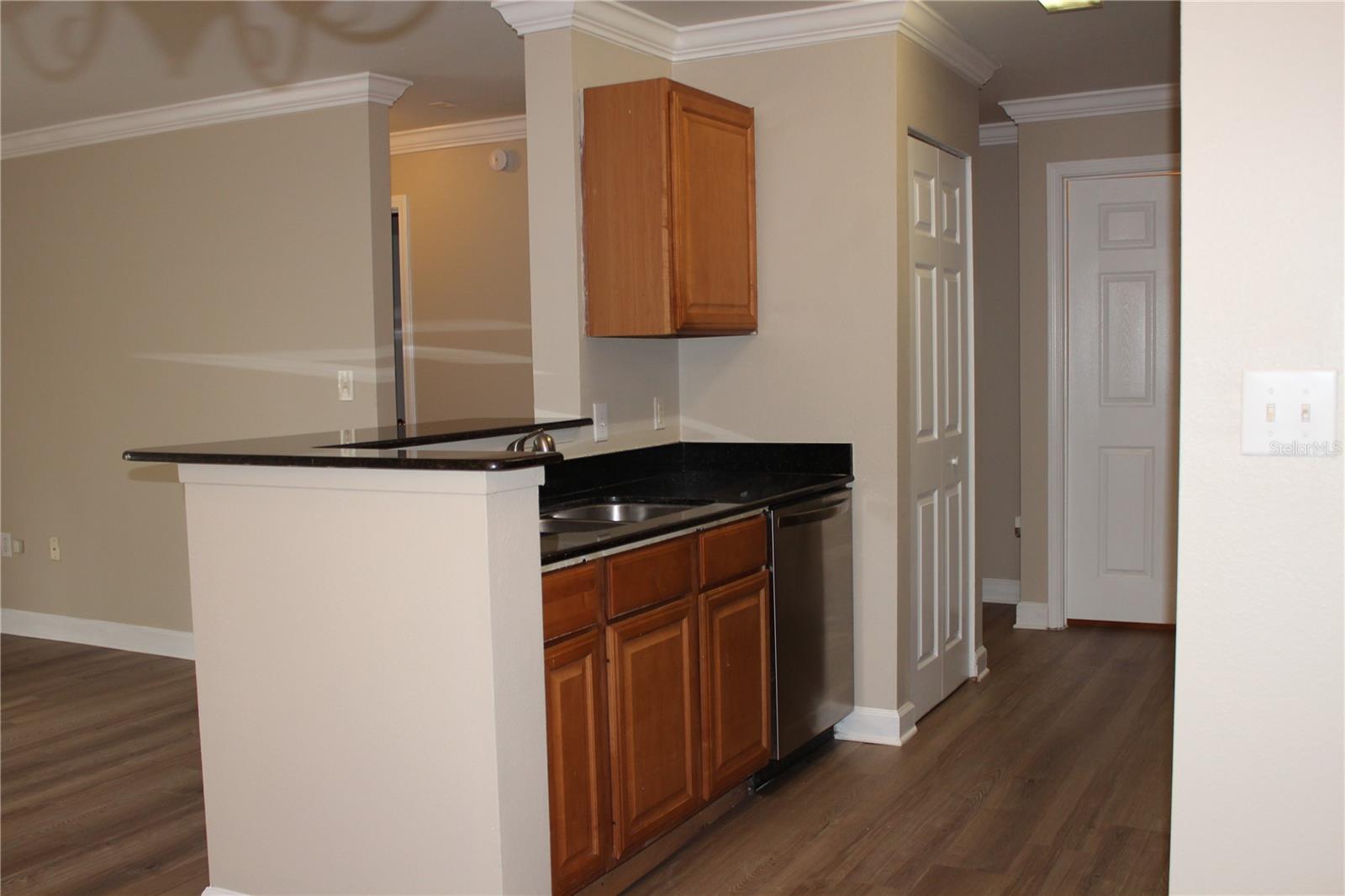 18415 BRIDLE CLUB DR, TAMPA, FL, 33647