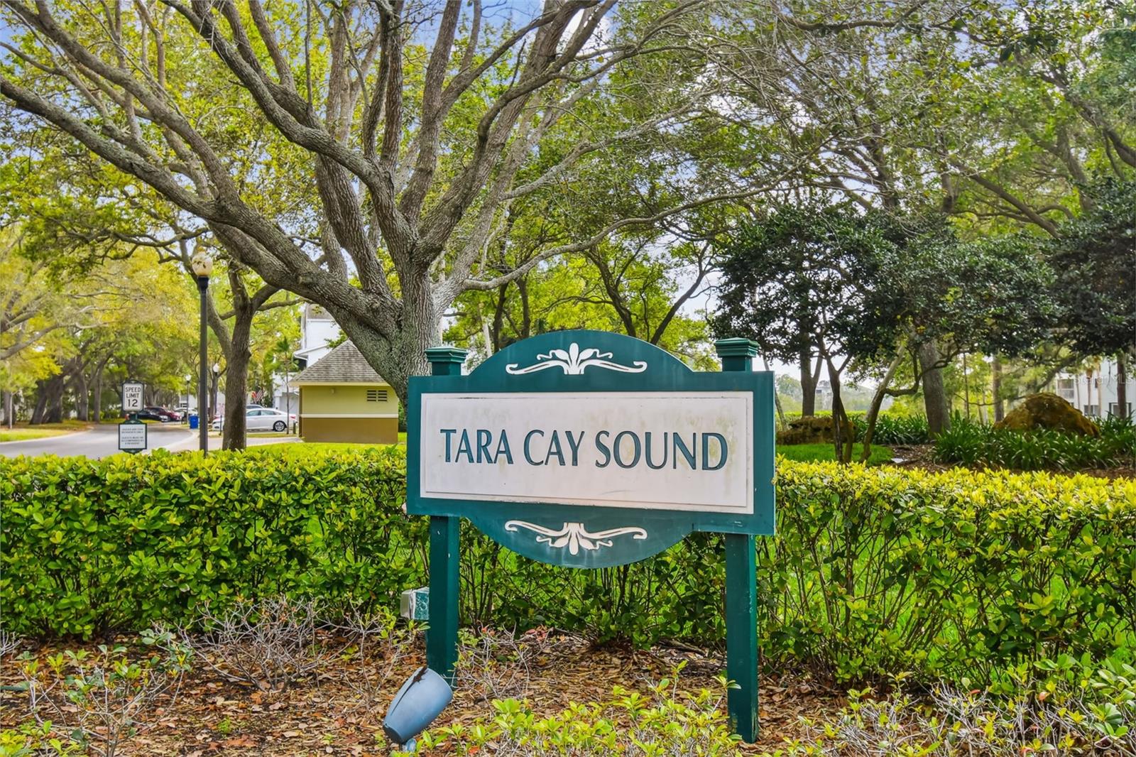 9770 INDIAN KEY TRL #102, SEMINOLE, FL, 33776