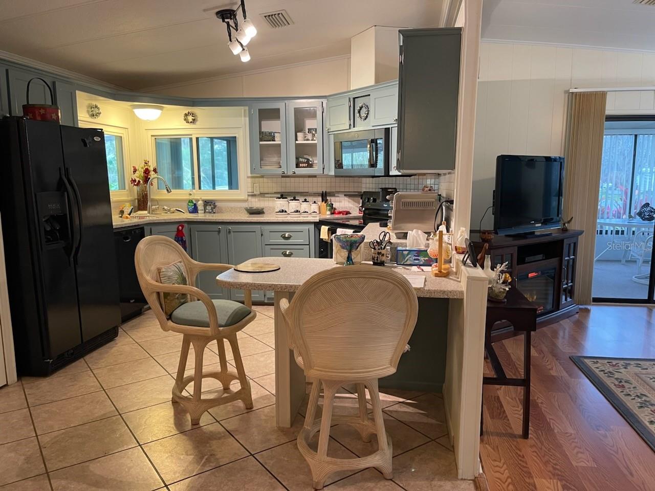 2 SEMINOLE PATH, WILDWOOD, FL, 34785