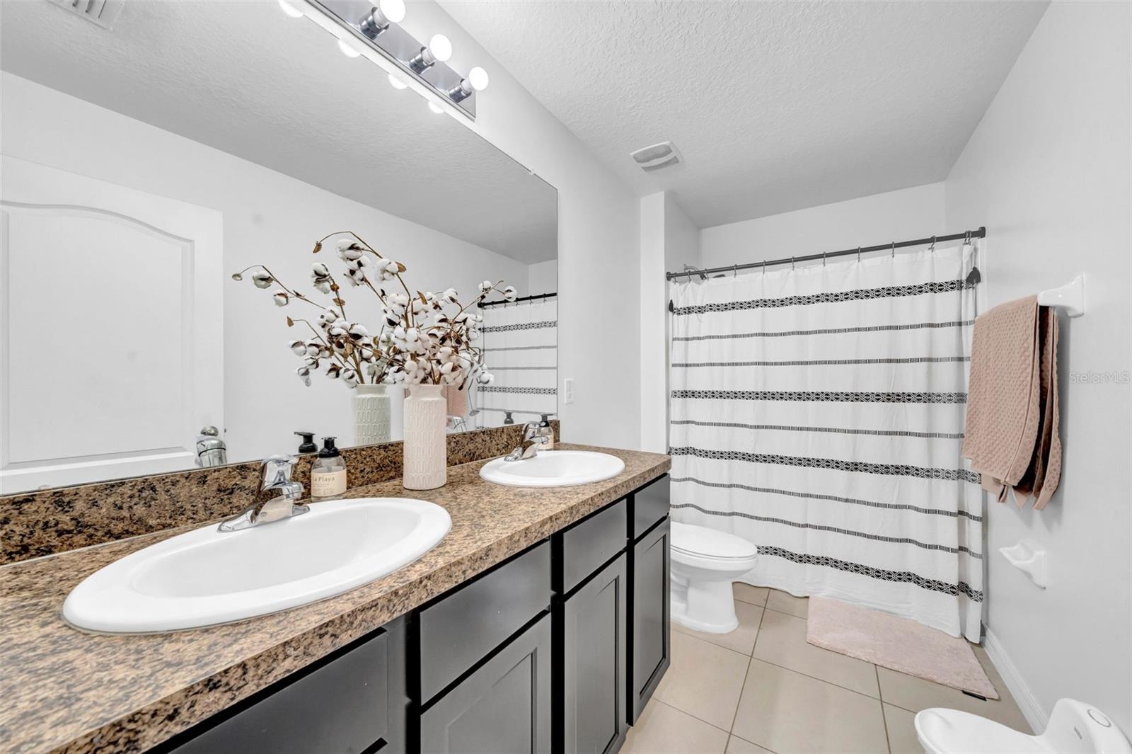 3301 SAN MOISE PL, PLANT CITY, FL, 33567