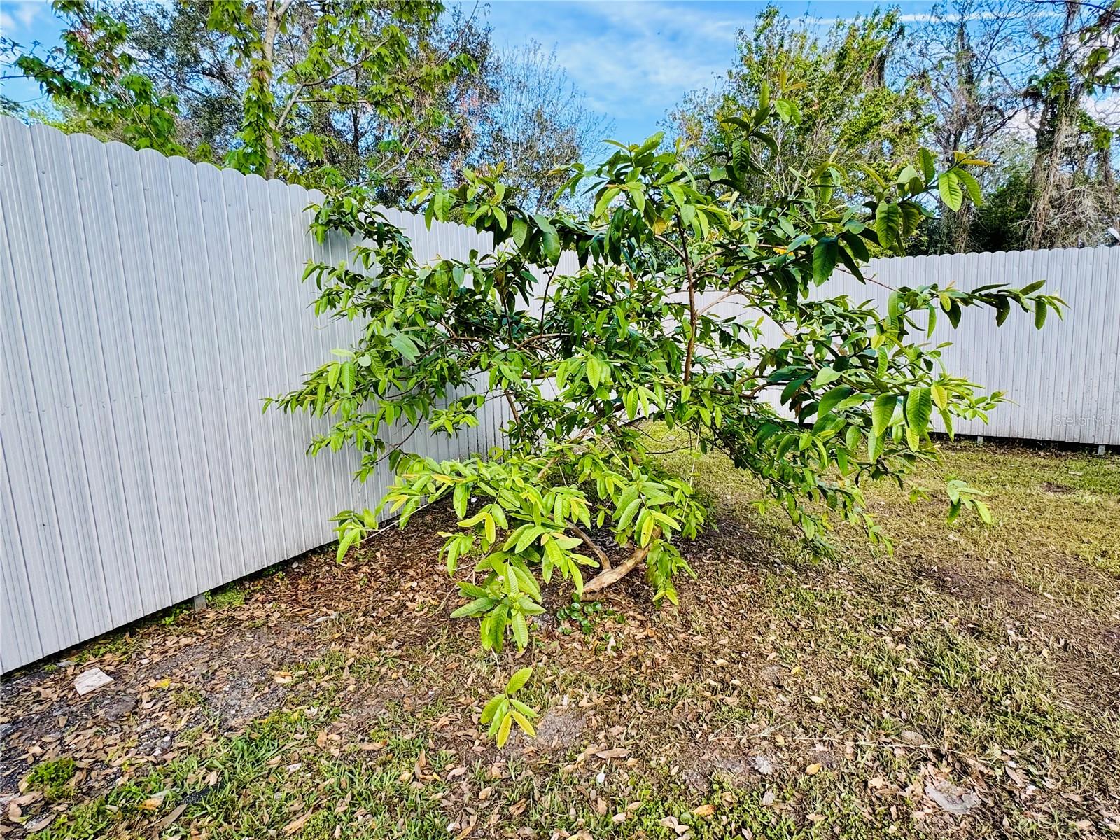 18633 14TH AVE, ORLANDO, FL, 32833