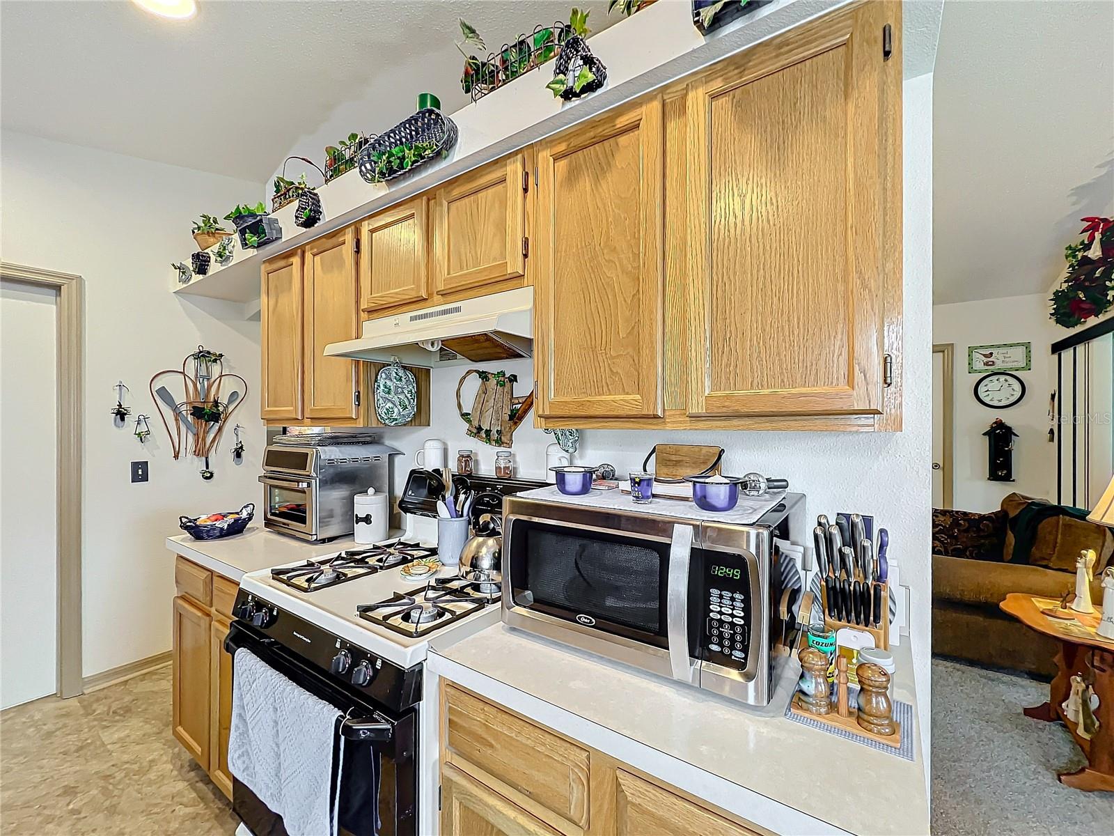 2206 SILVER LAKES DR N, LAKELAND, FL, 33810