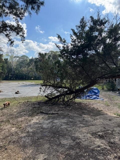 18726 ARIPEKA RD, HUDSON, FL, 34667