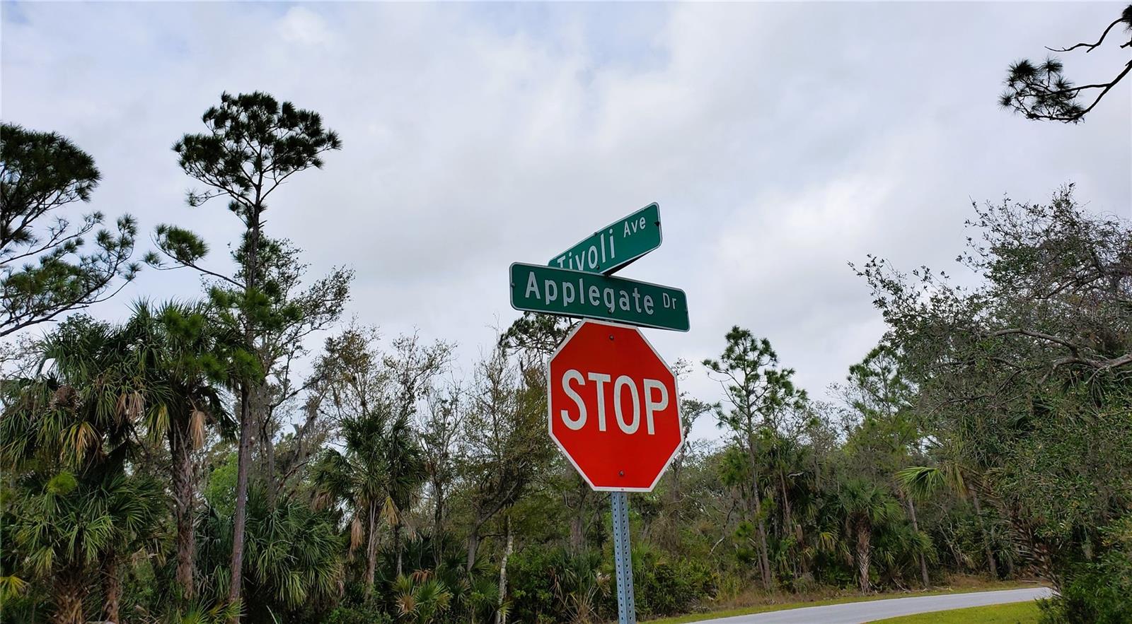 15139 TIVOLI AVE, PORT CHARLOTTE, FL, 33953