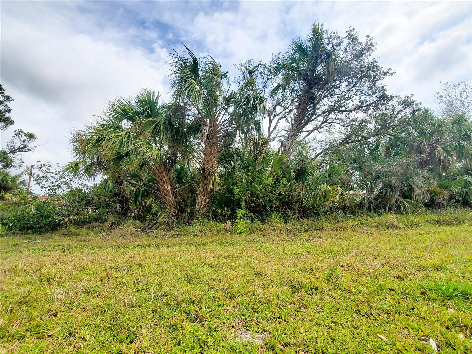 15139 TIVOLI AVE, PORT CHARLOTTE, FL, 33953