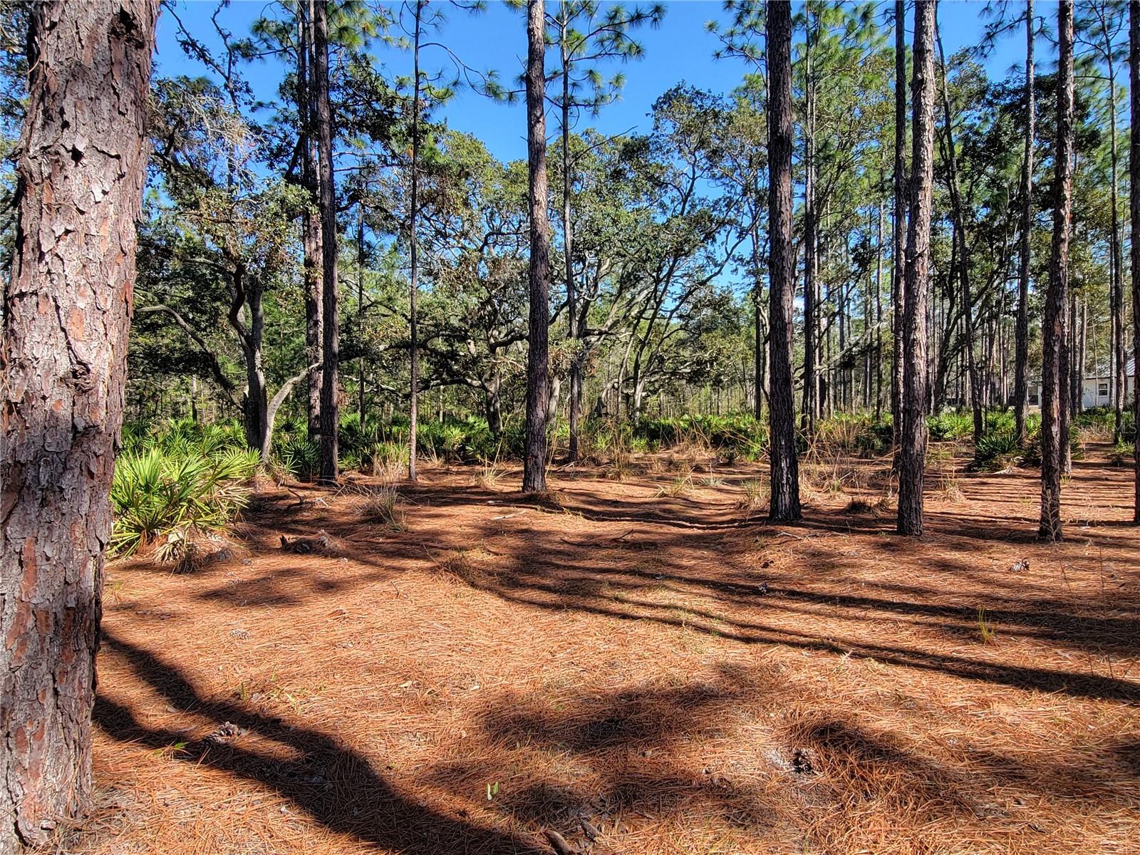 16442 HARDEMAN JCT, WEEKI WACHEE, FL, 34614