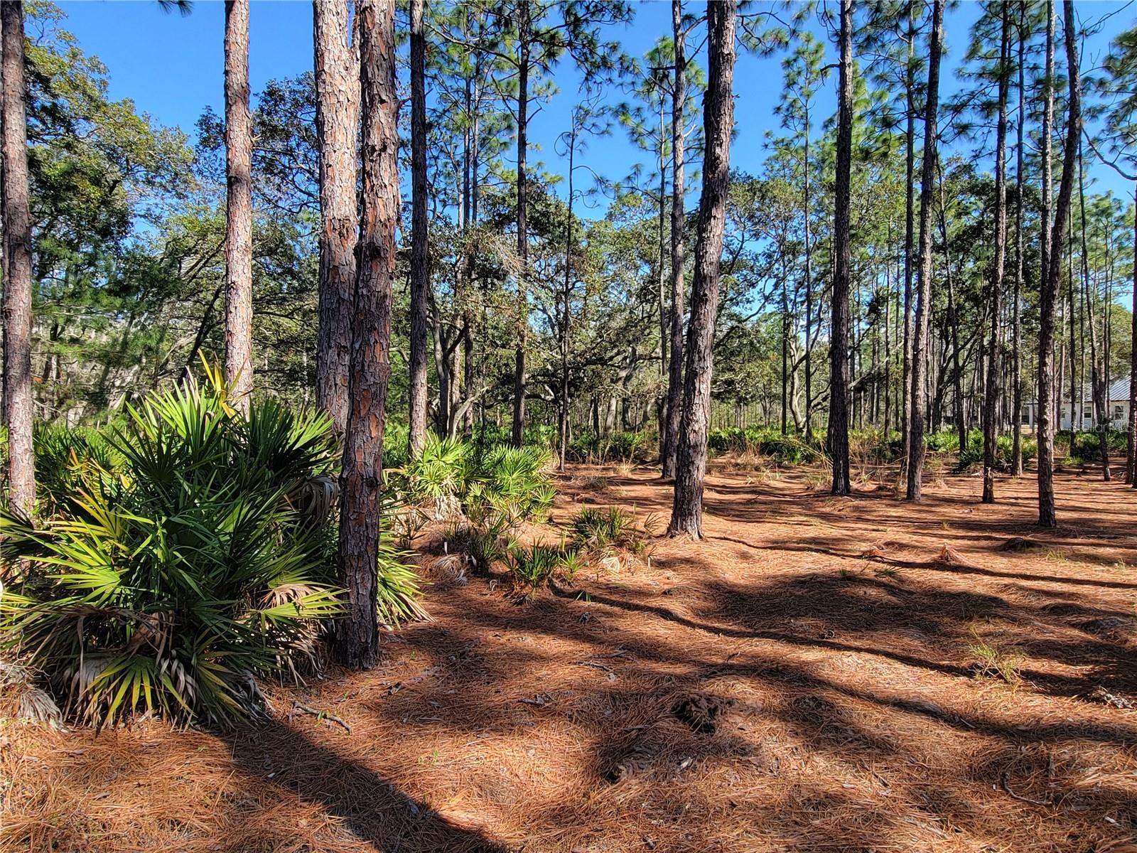 16442 HARDEMAN JCT, WEEKI WACHEE, FL, 34614