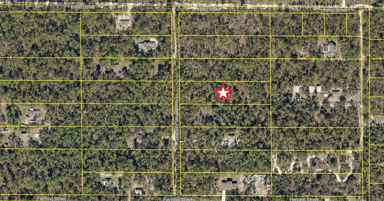 16442 HARDEMAN JCT, WEEKI WACHEE, FL, 34614
