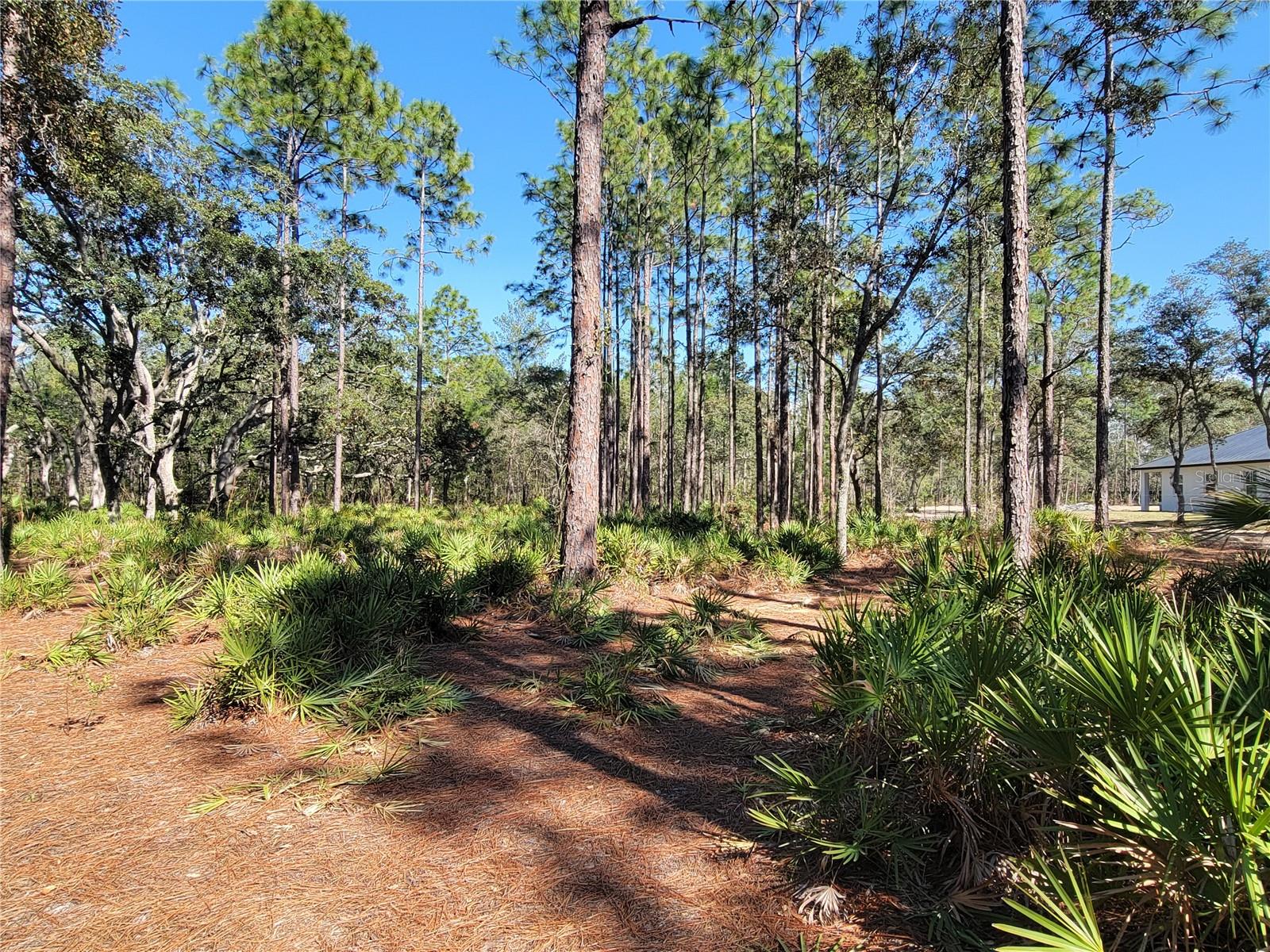 16442 HARDEMAN JCT, WEEKI WACHEE, FL, 34614