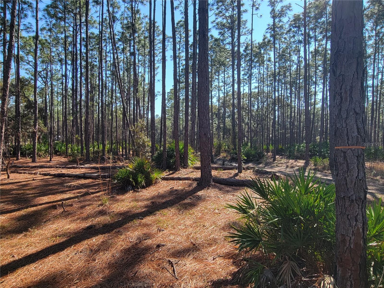 16442 HARDEMAN JCT, WEEKI WACHEE, FL, 34614