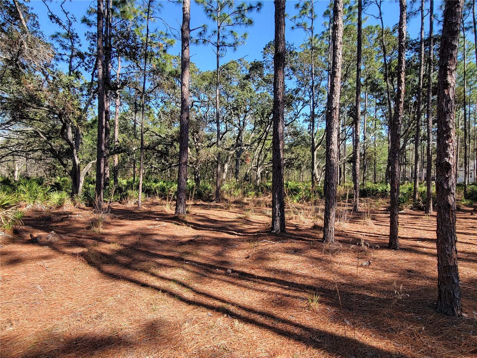 16442 HARDEMAN JCT, WEEKI WACHEE, FL, 34614