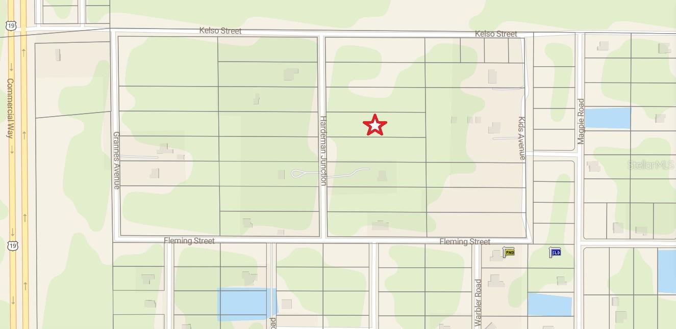 16442 HARDEMAN JCT, WEEKI WACHEE, FL, 34614