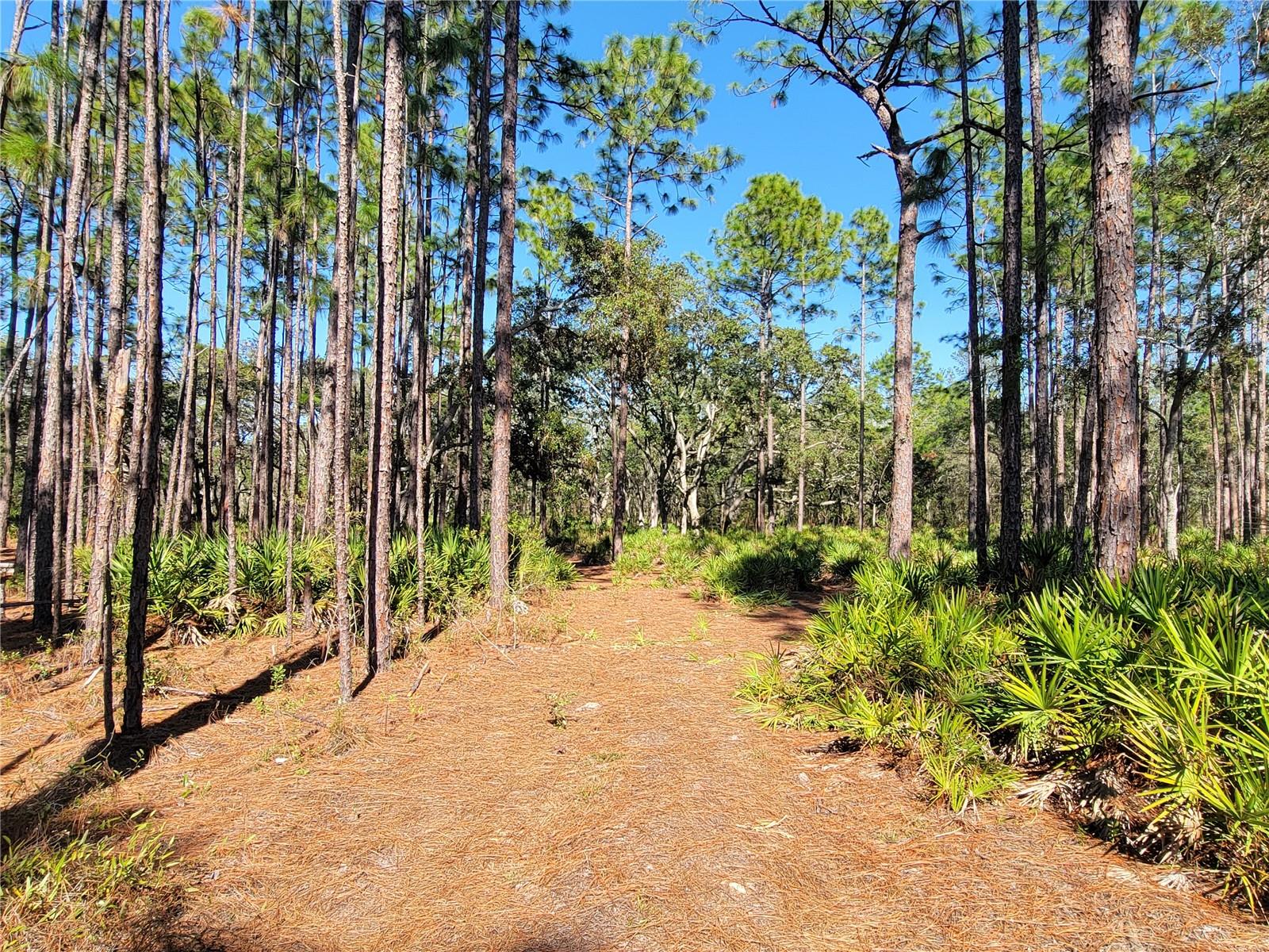 16442 HARDEMAN JCT, WEEKI WACHEE, FL, 34614