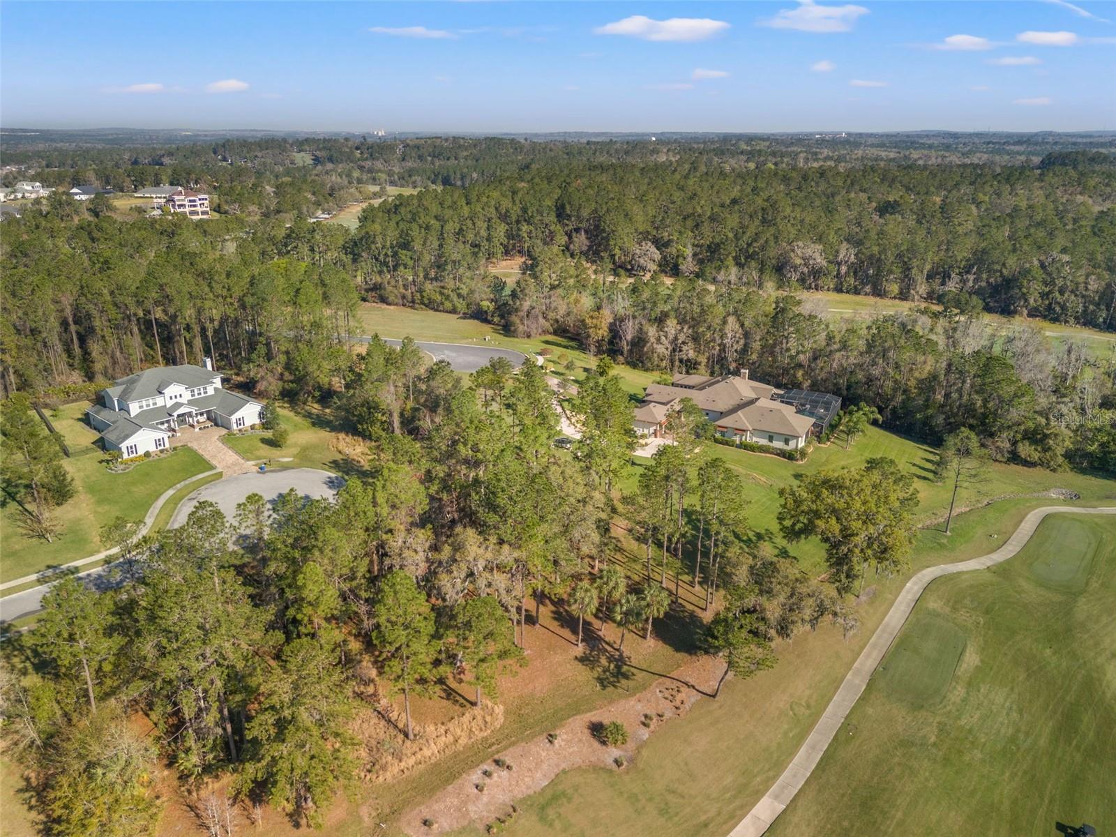 20132 ENGLISH WALNUT PL, BROOKSVILLE, FL, 34601