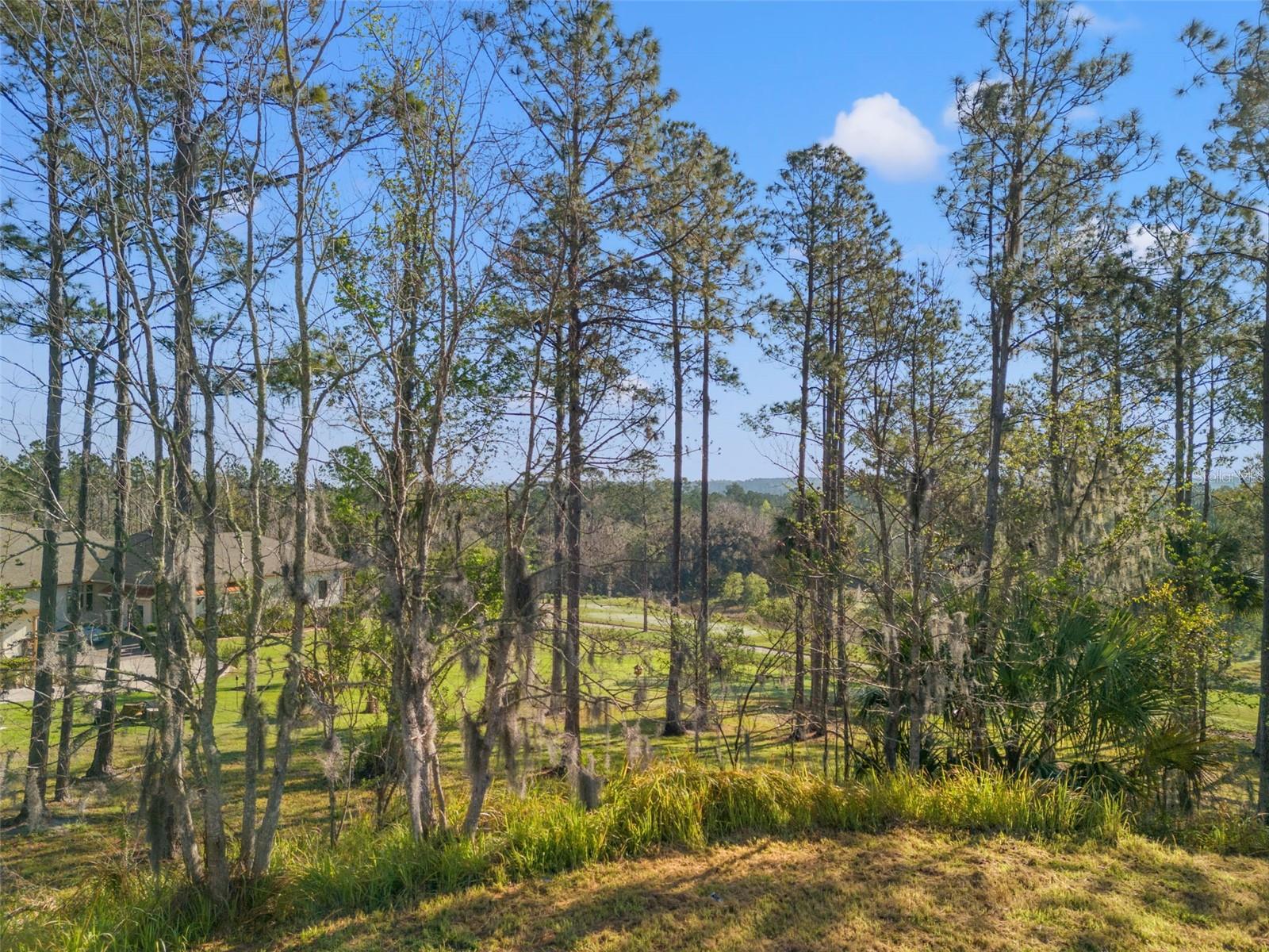 20132 ENGLISH WALNUT PL, BROOKSVILLE, FL, 34601