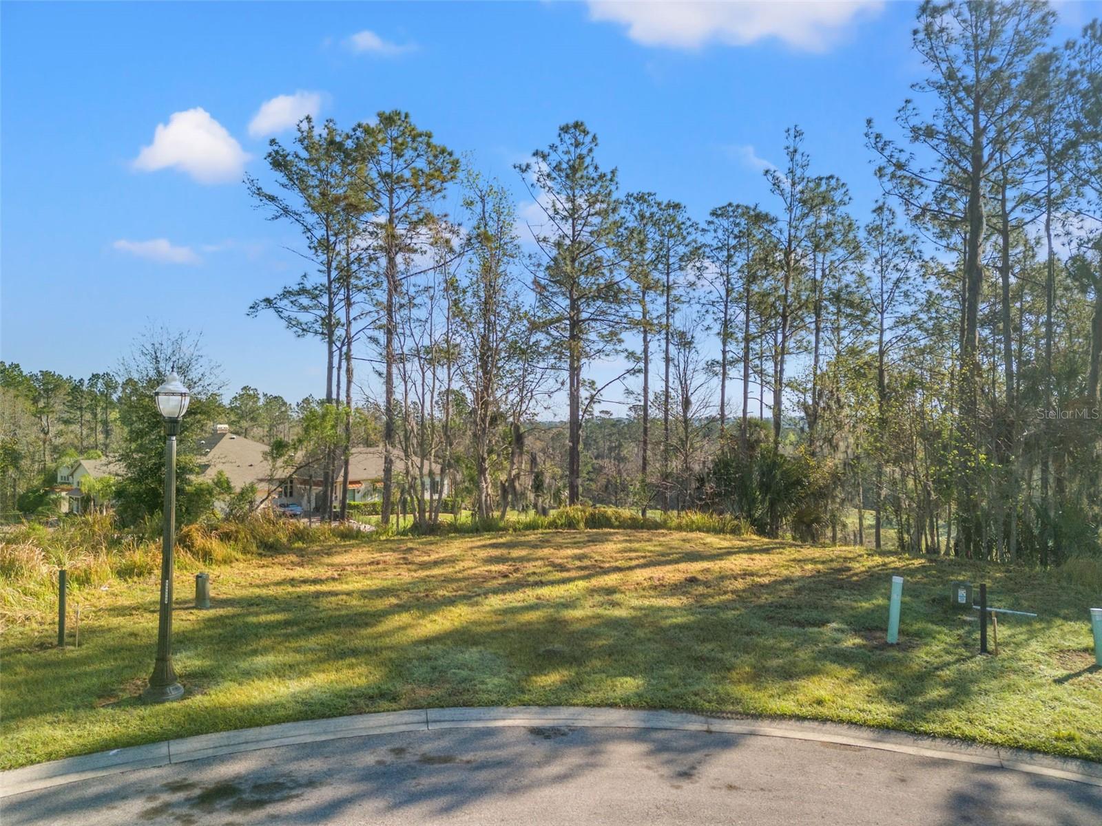 20132 ENGLISH WALNUT PL, BROOKSVILLE, FL, 34601