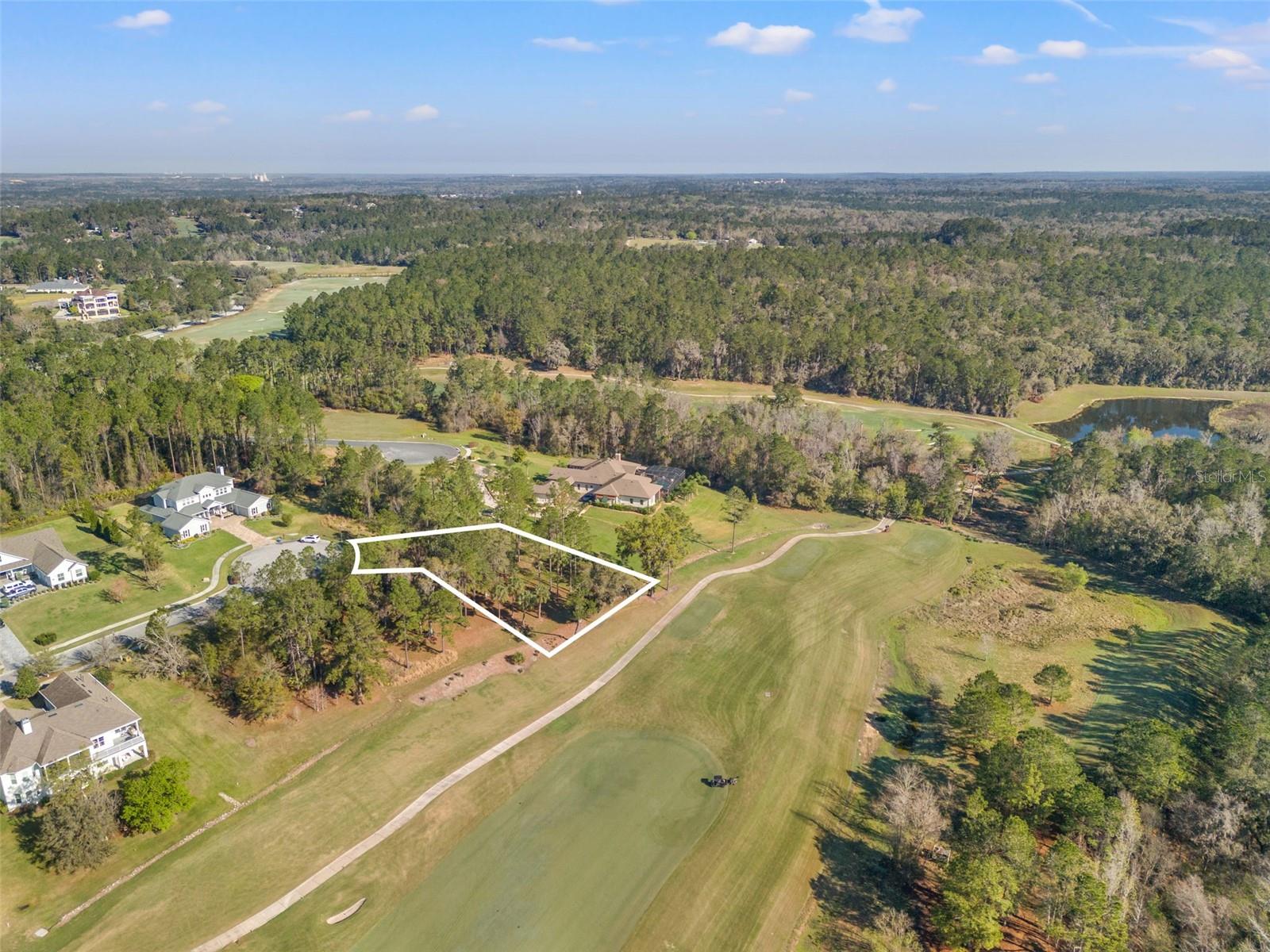 20132 ENGLISH WALNUT PL, BROOKSVILLE, FL, 34601