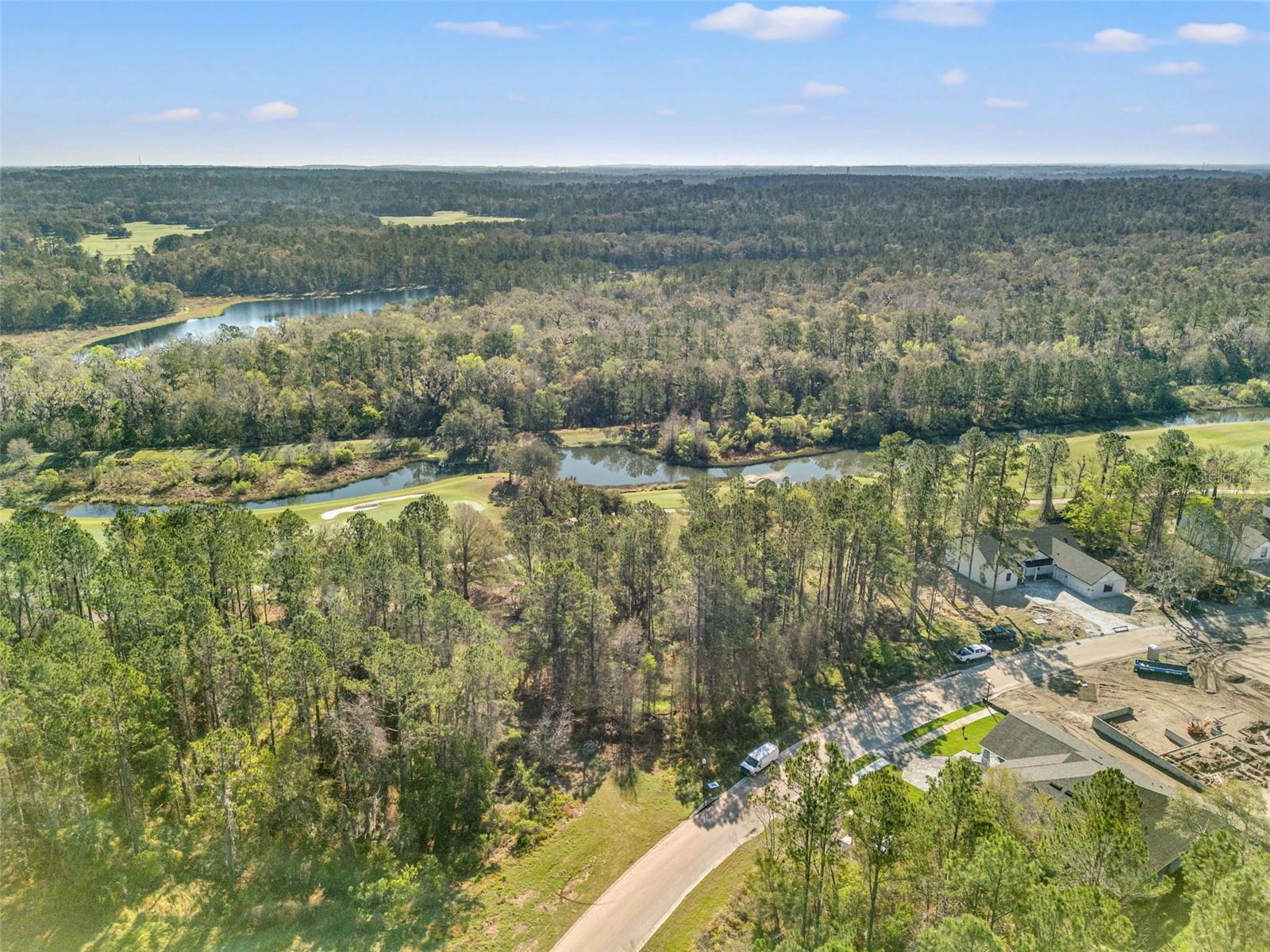20132 ENGLISH WALNUT PL, BROOKSVILLE, FL, 34601