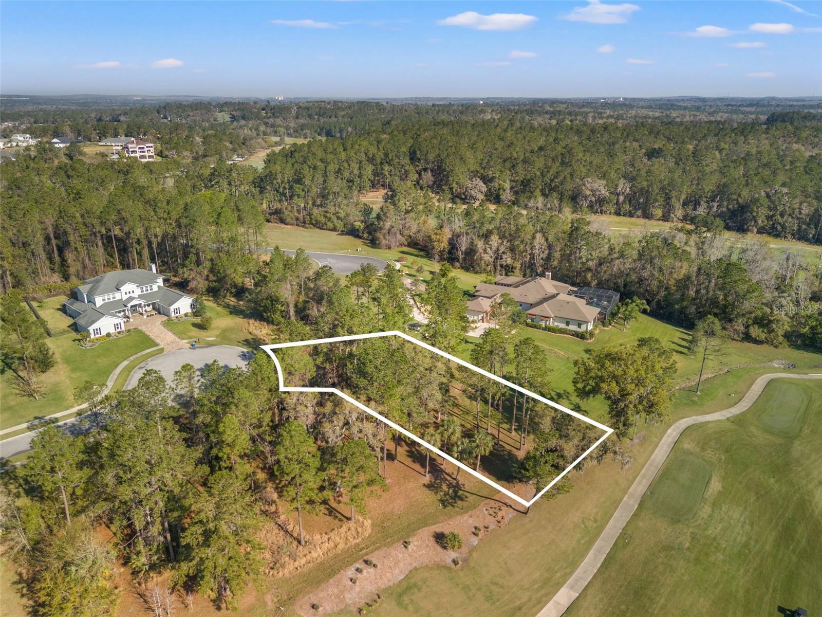 20132 ENGLISH WALNUT PL, BROOKSVILLE, FL, 34601