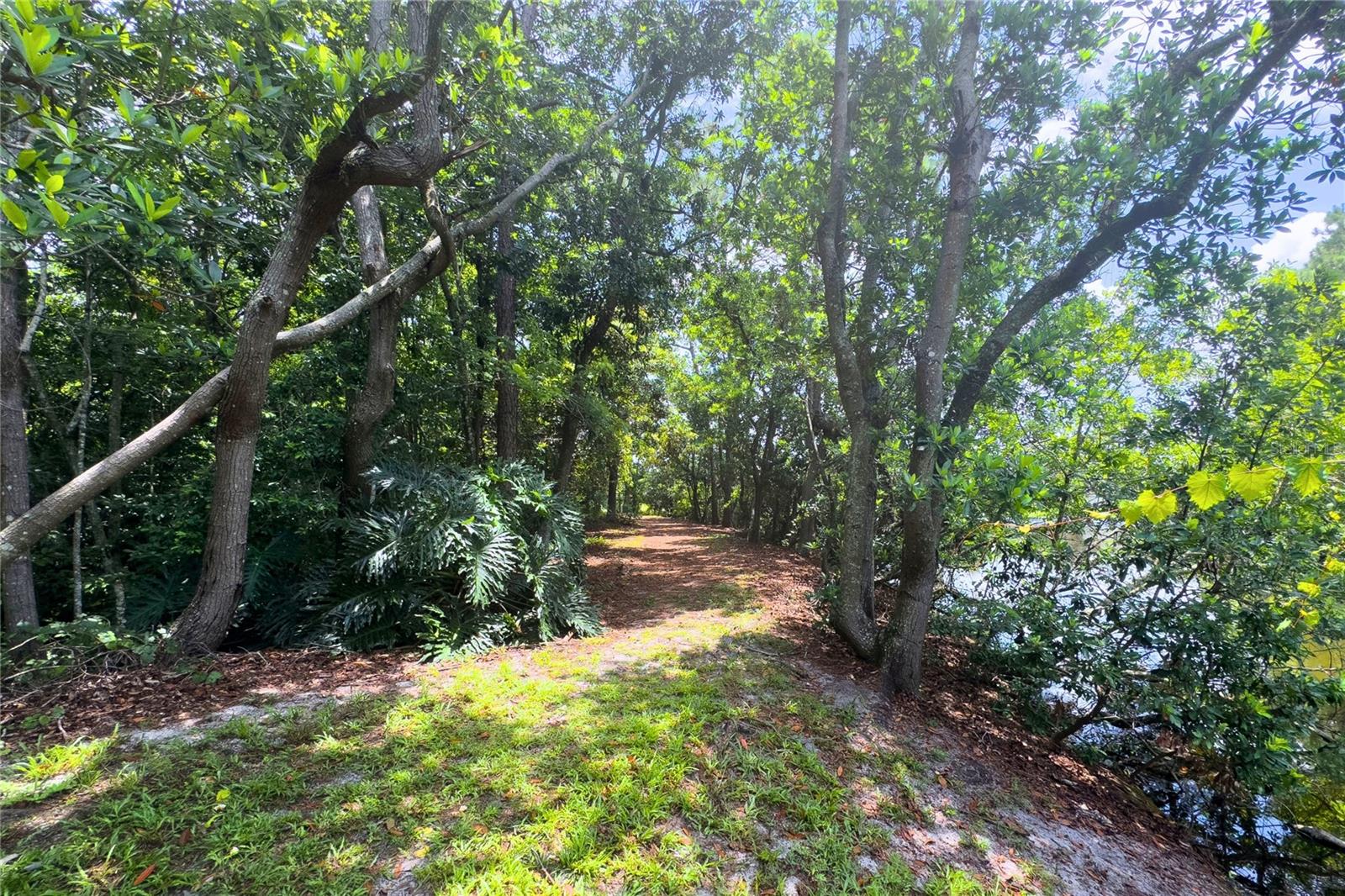 8121 DEVILLE CT, ORLANDO, FL, 32817